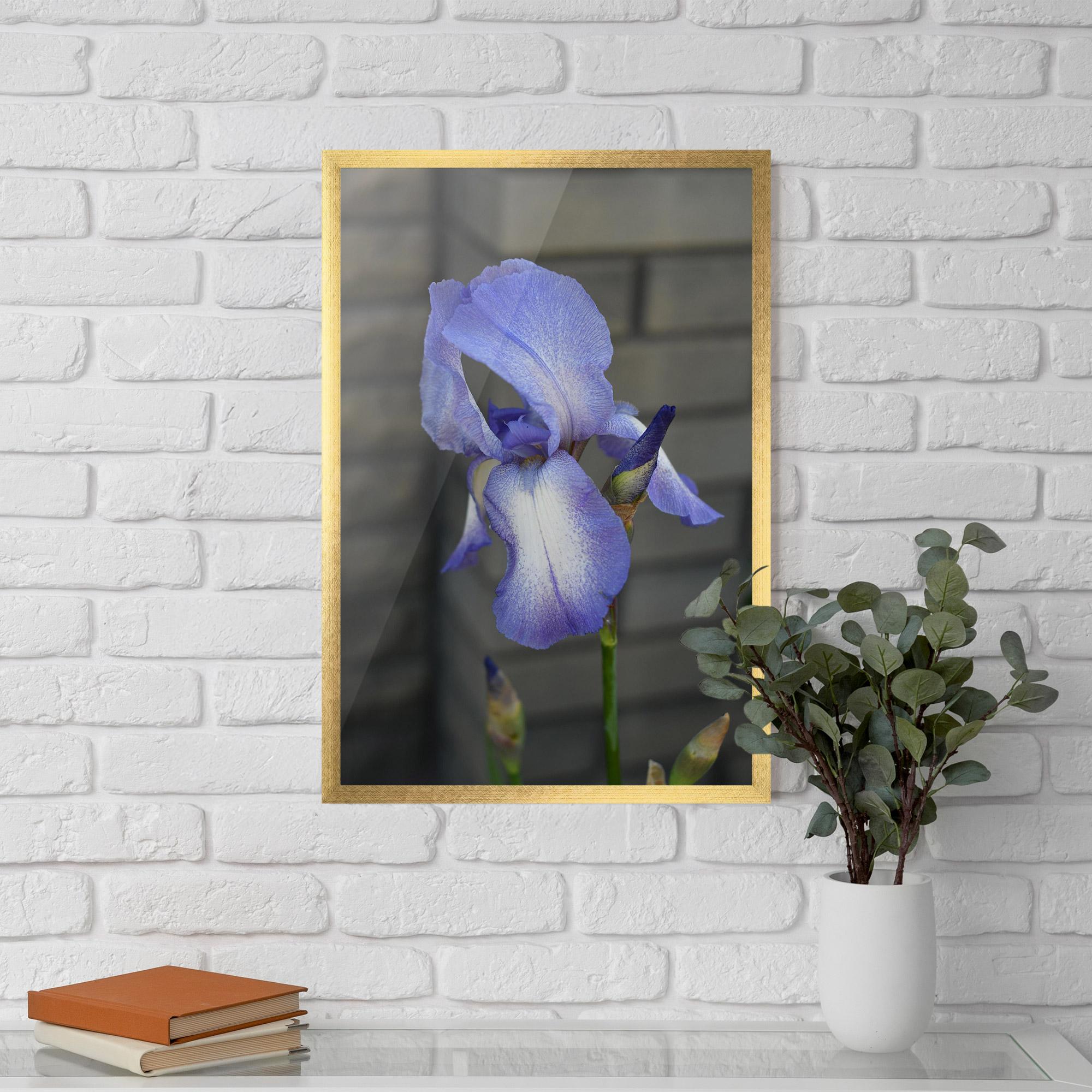 Keretezett Poszter Purple Iris On Gray mockup 5