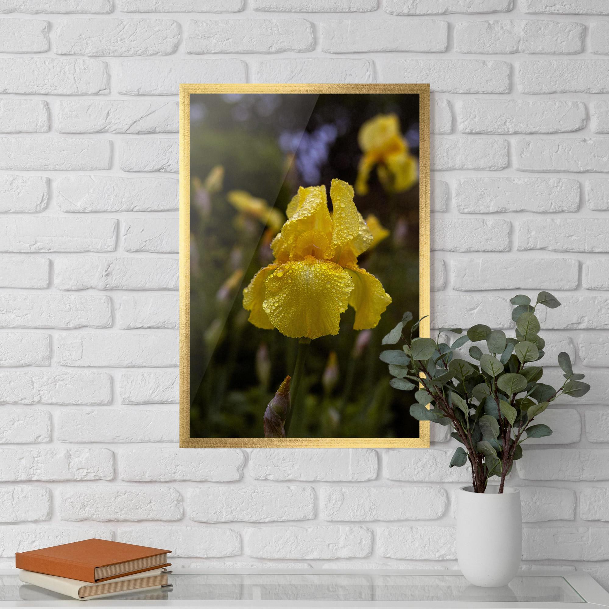Keretezett Poszter Yellow Iris After Rain mockup 5
