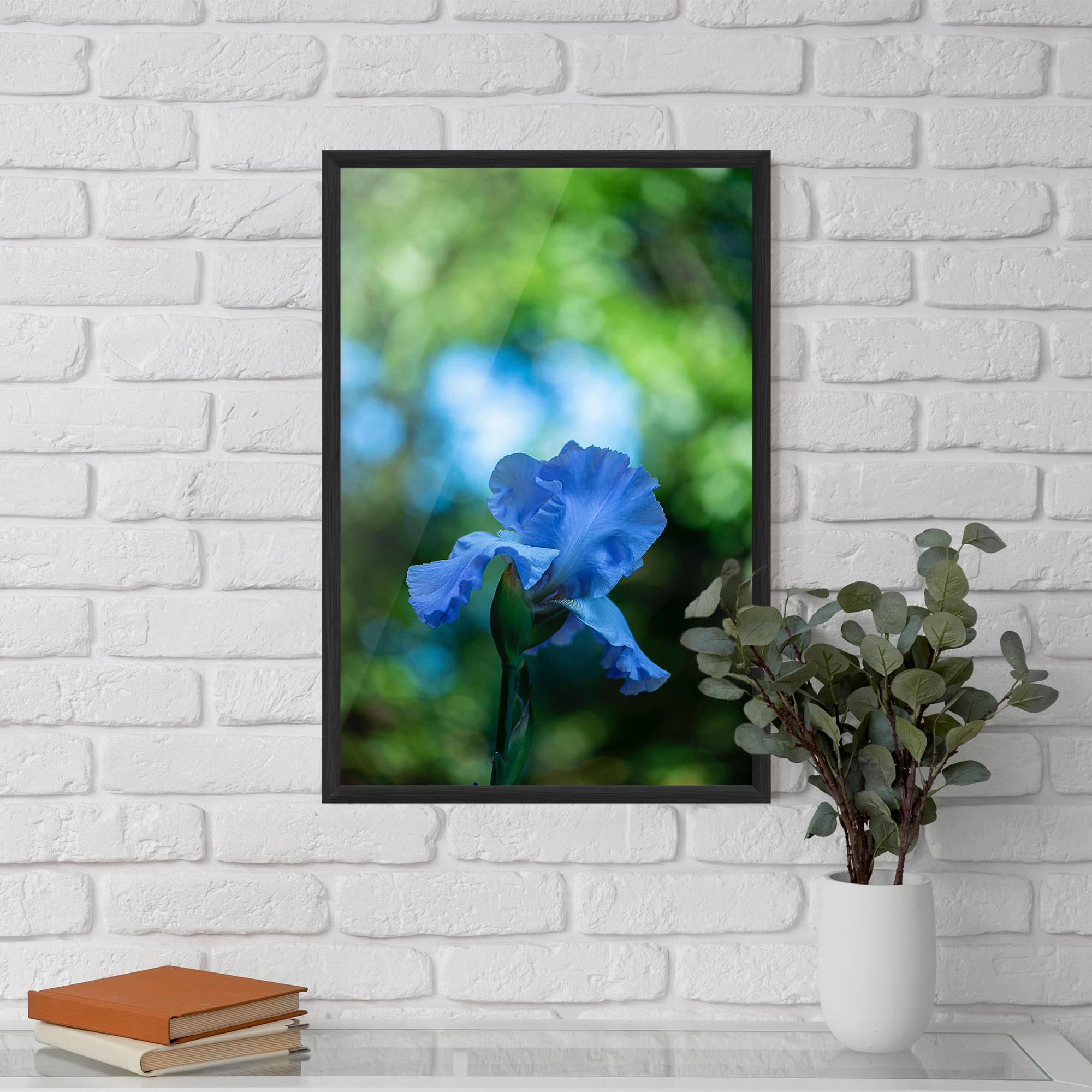 Keretezett Poszter Blue Iris In The Garden mockup 5