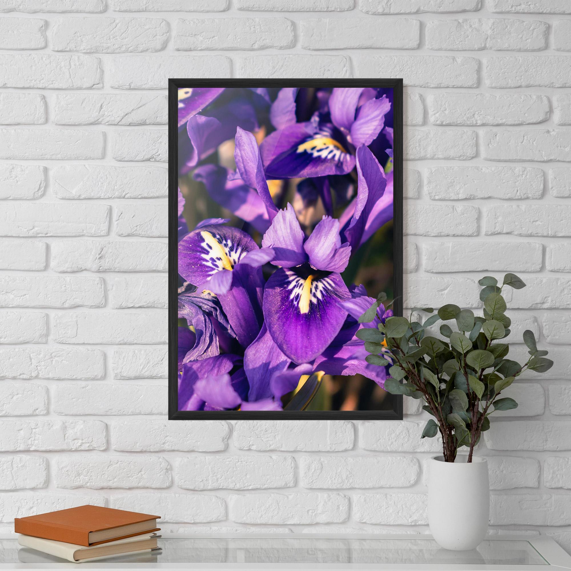 Keretezett Poszter Small Purple Iris mockup 5