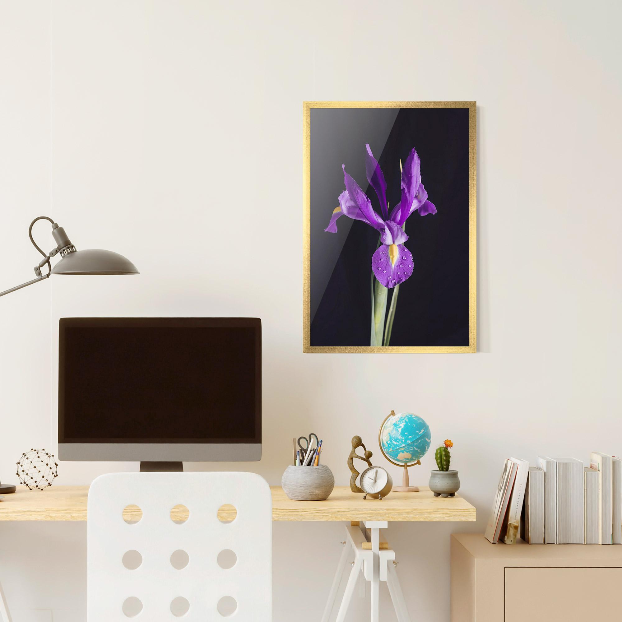 Keretezett Poszter Fresh Purple Iris mockup 6