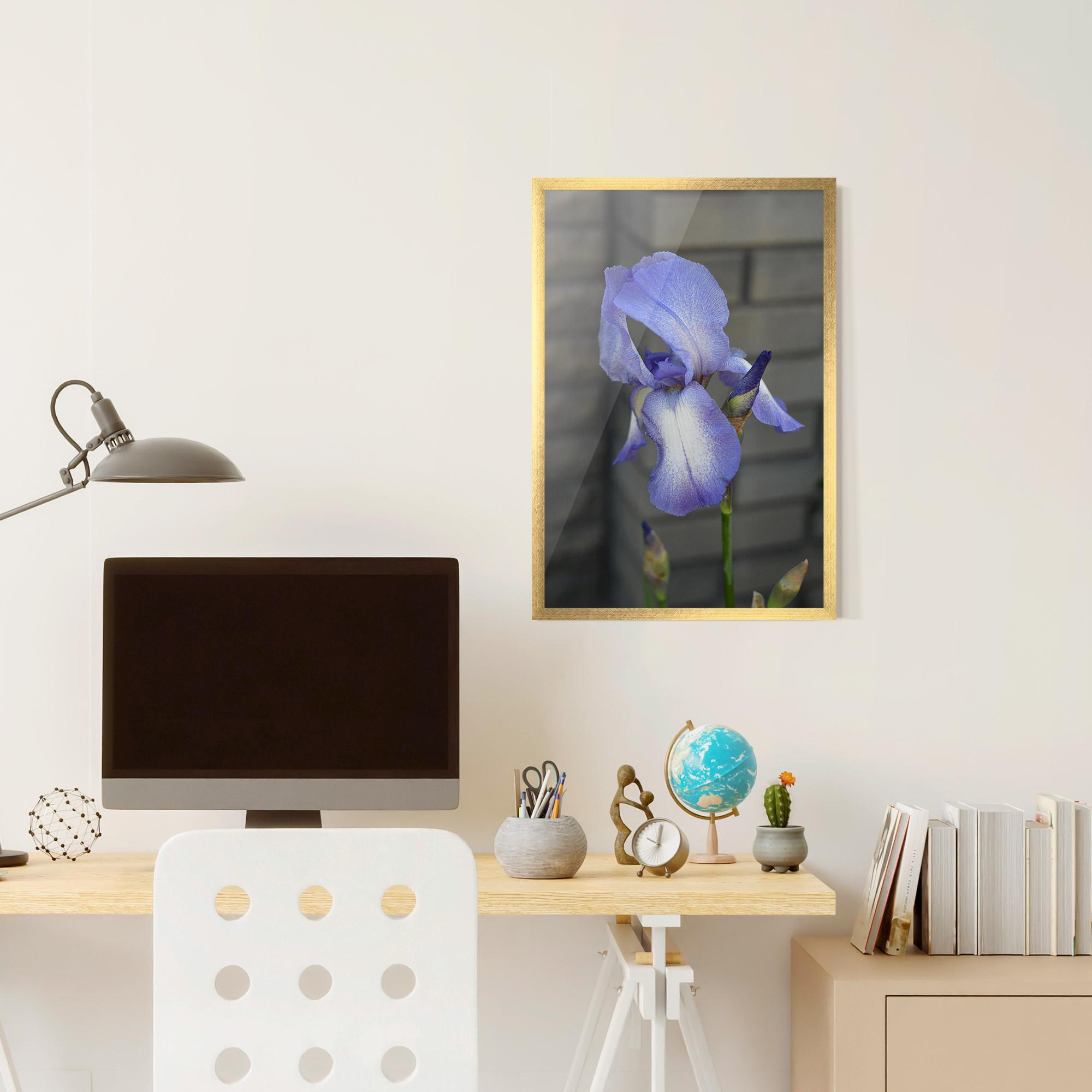 Keretezett Poszter Purple Iris On Gray mockup 6