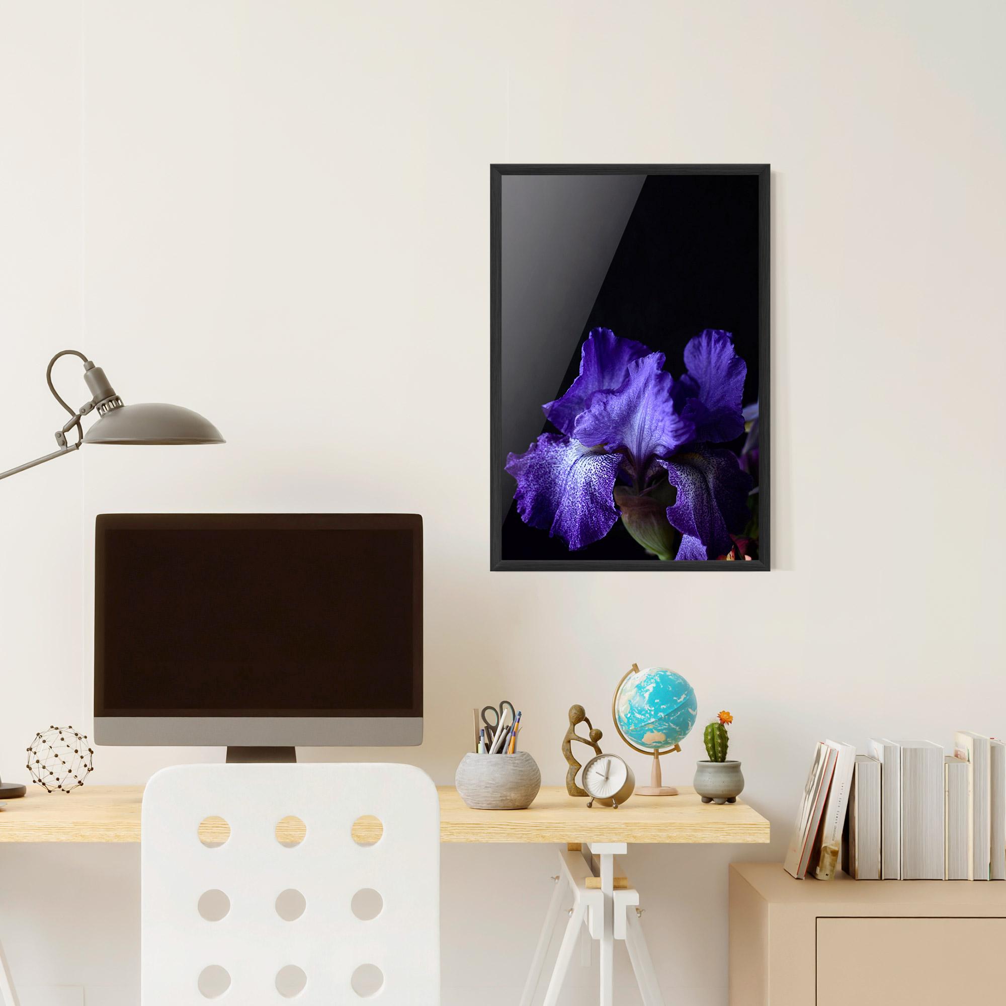 Keretezett Poszter Dark Purple Iris On Black mockup 6