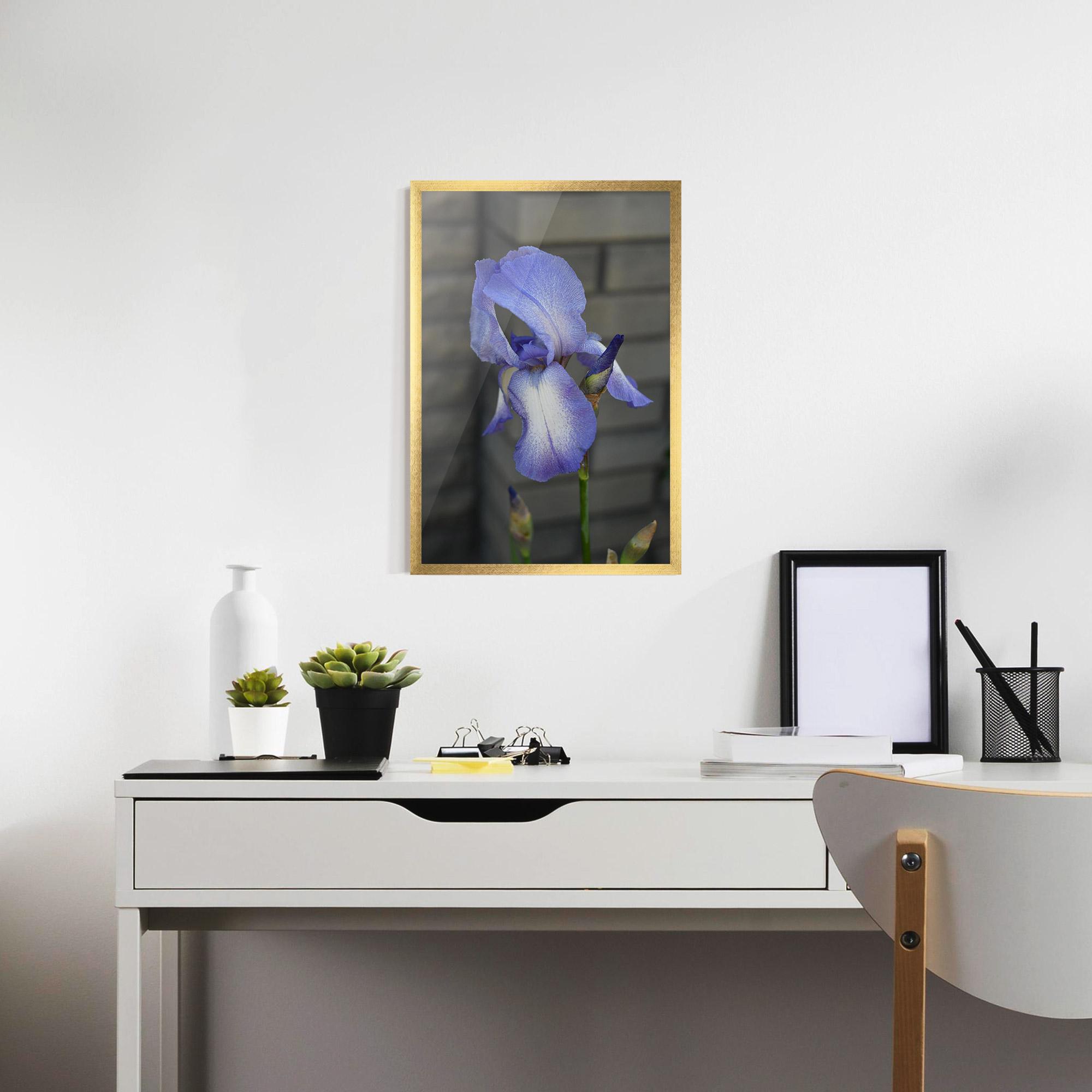 Keretezett Poszter Purple Iris On Gray mockup 7