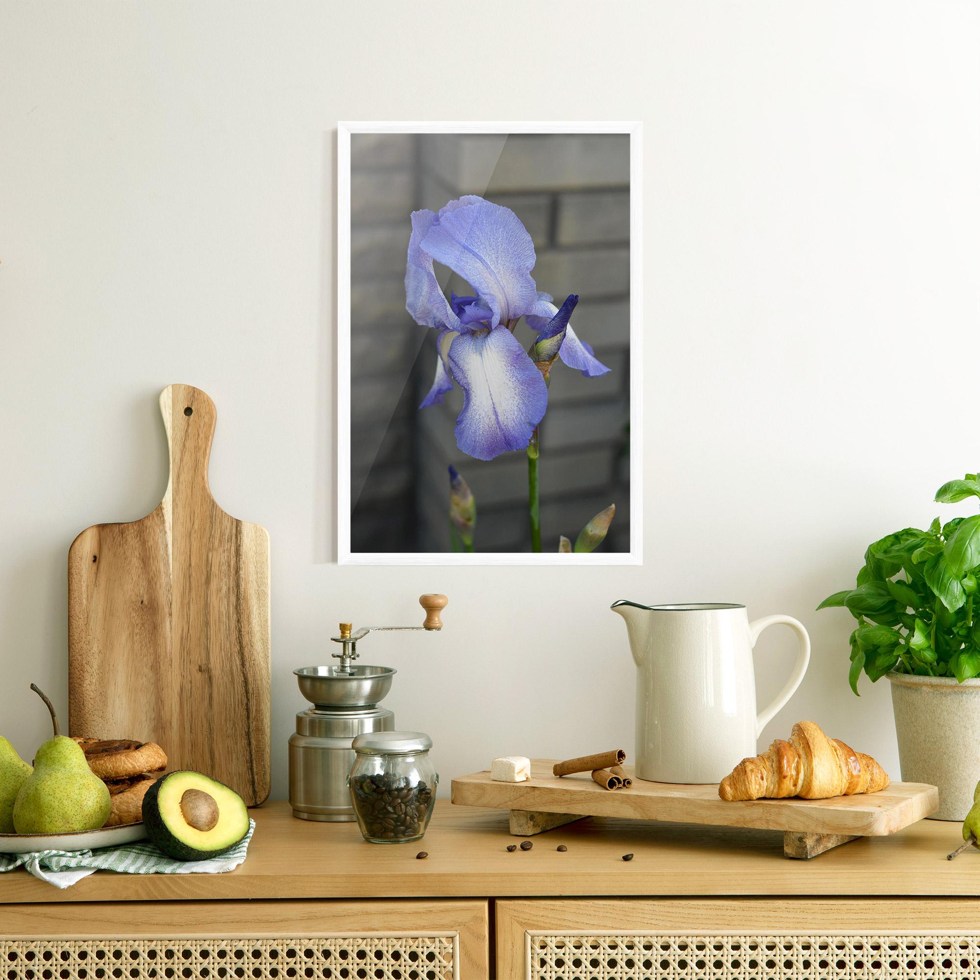 Keretezett Poszter Purple Iris On Gray mockup 8