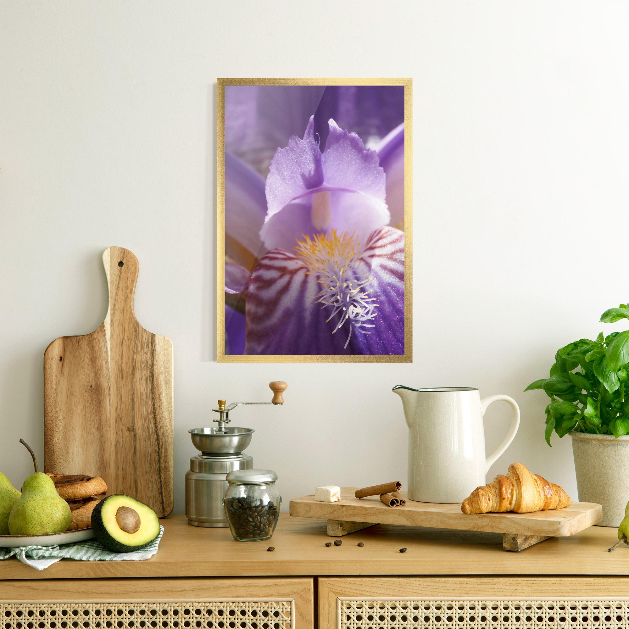 Keretezett Poszter Purple Iris Close Up mockup 8