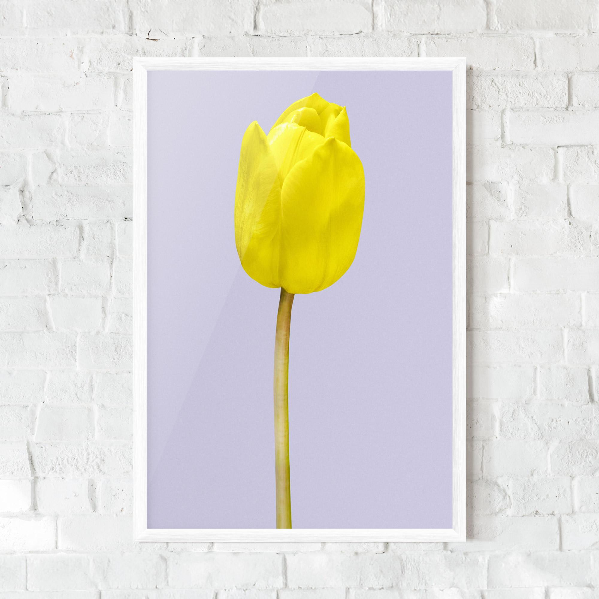 Keretezett Poszter One Yellow Tulip mockup 0