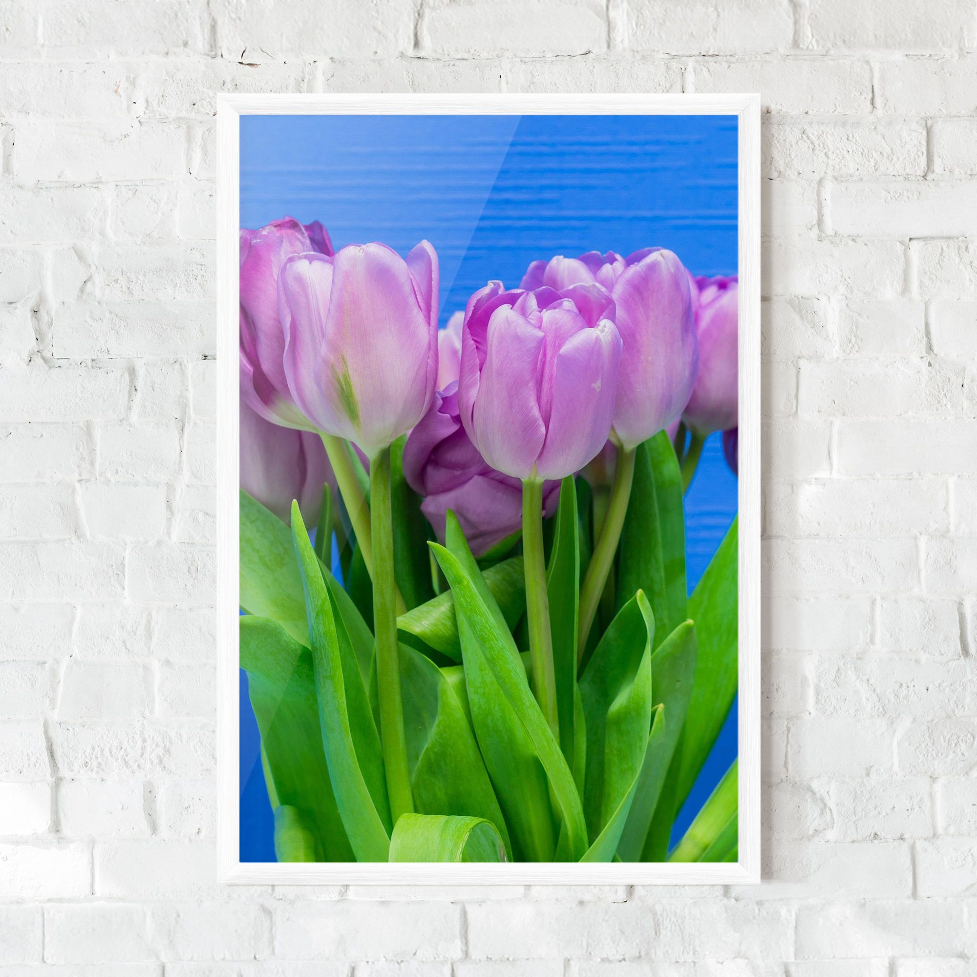 Purple Tulips On Blue mockup 0