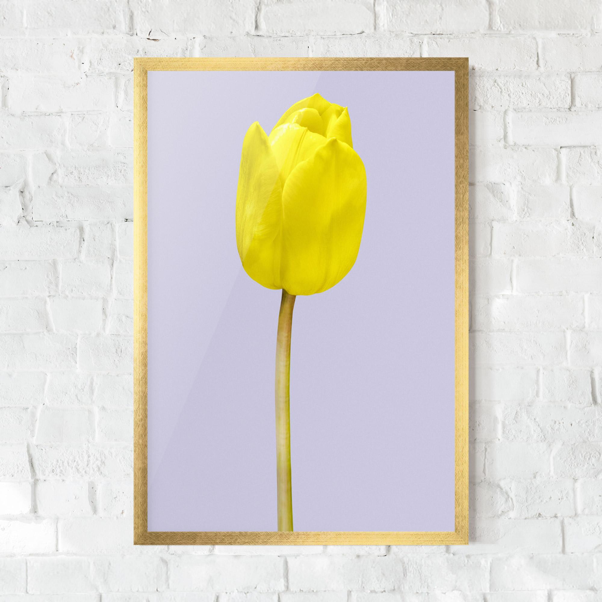 Keretezett Poszter One Yellow Tulip mockup 0