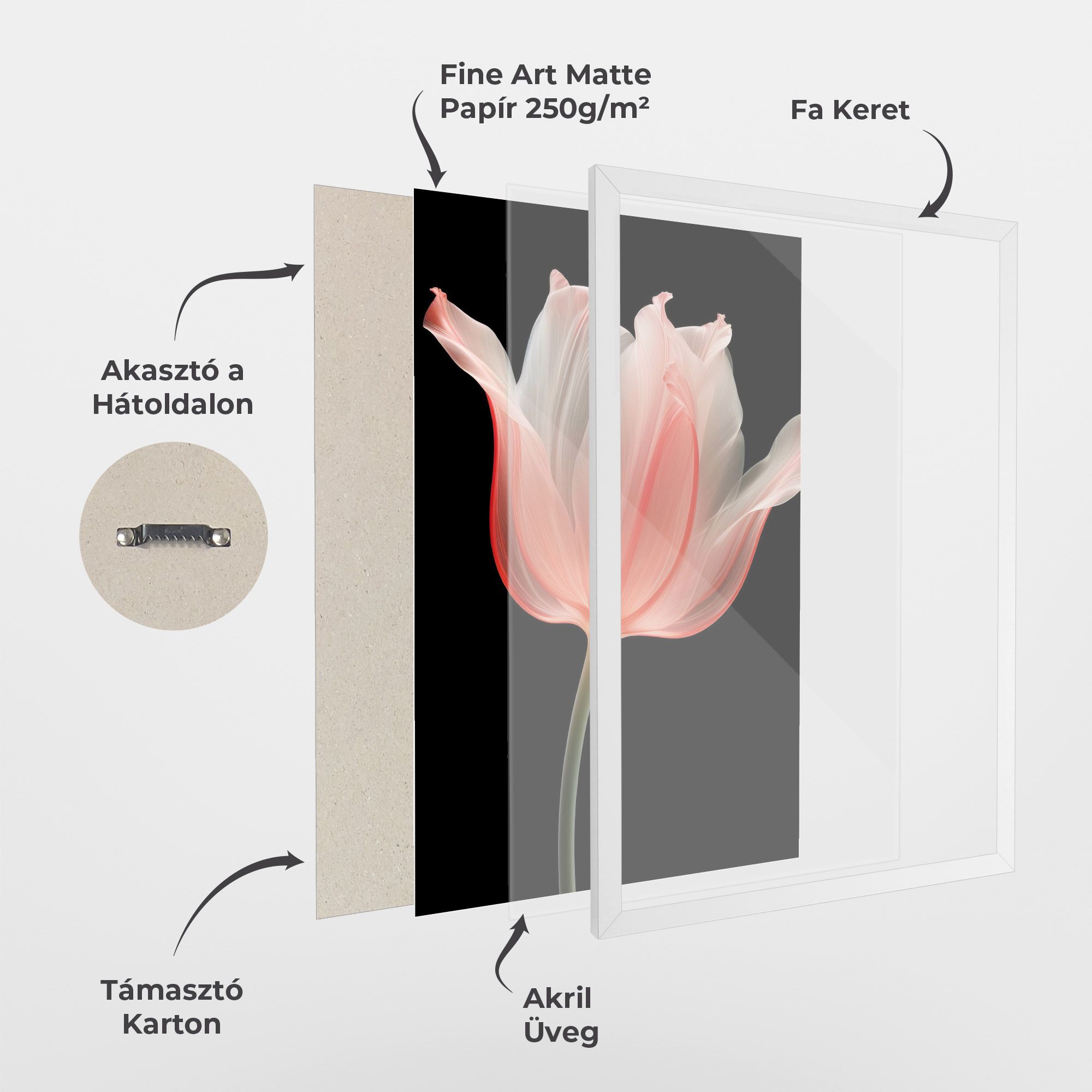 Pastel Pink Tulip mockup 1