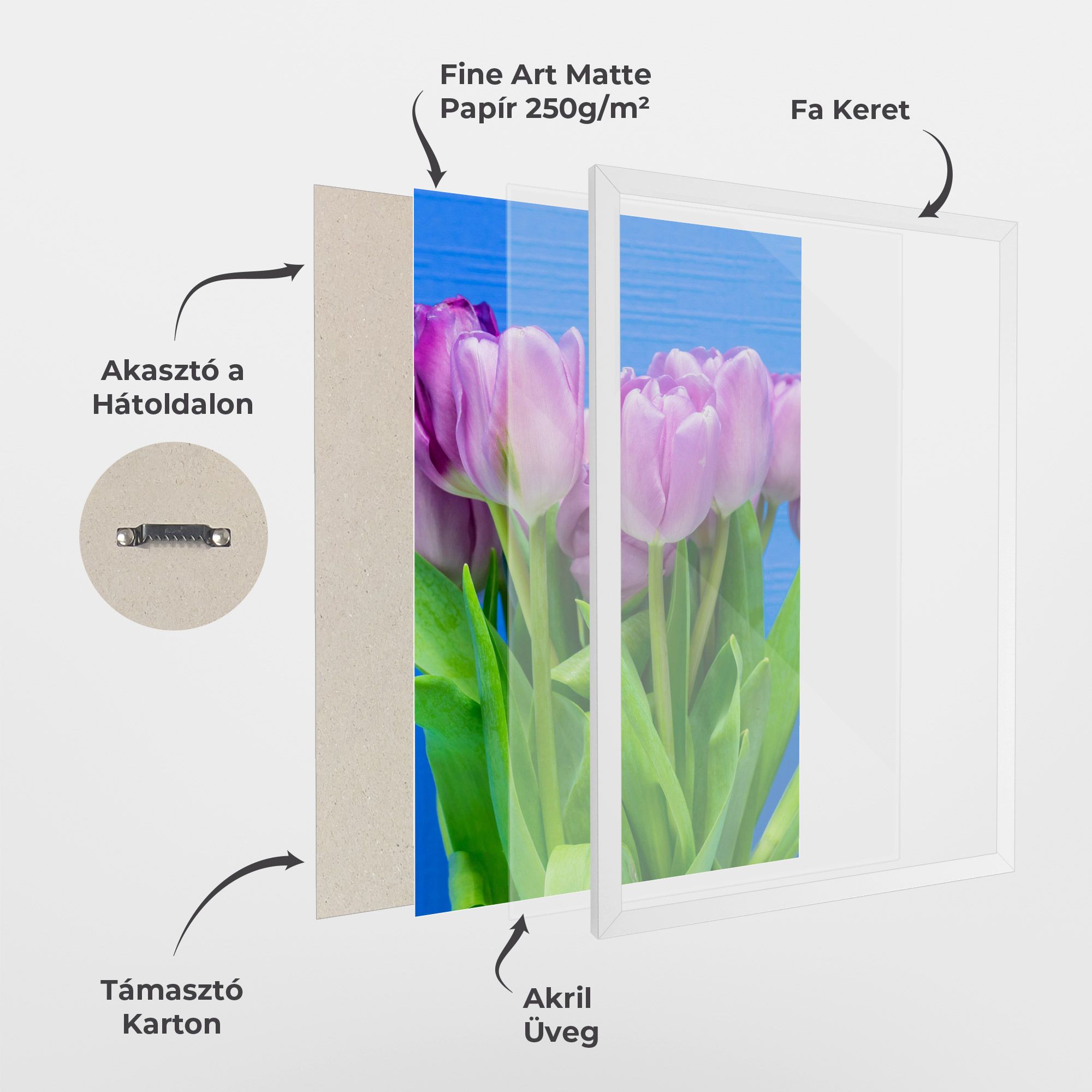 Purple Tulips On Blue mockup 1
