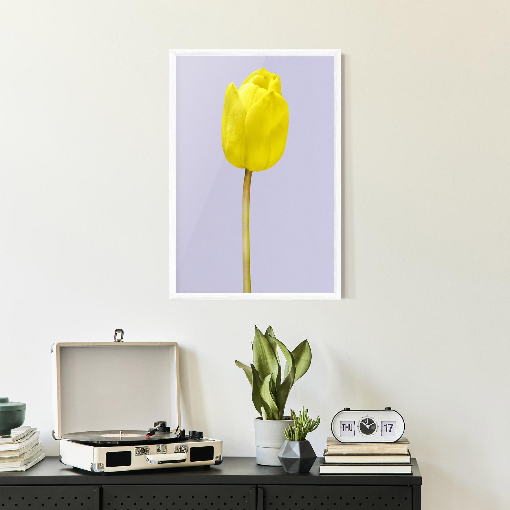 Keretezett Poszter One Yellow Tulip mockup 2