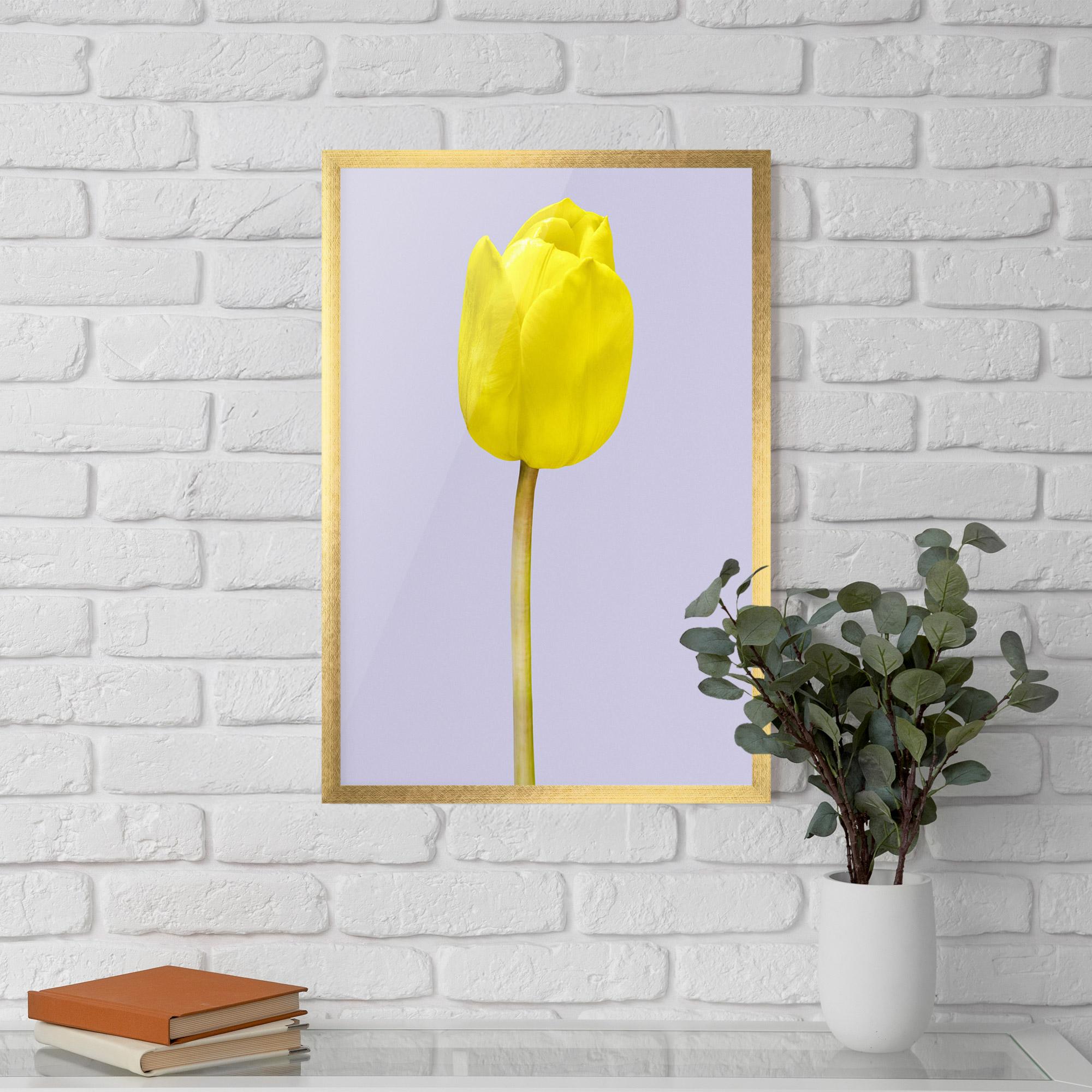 Keretezett Poszter One Yellow Tulip mockup 5