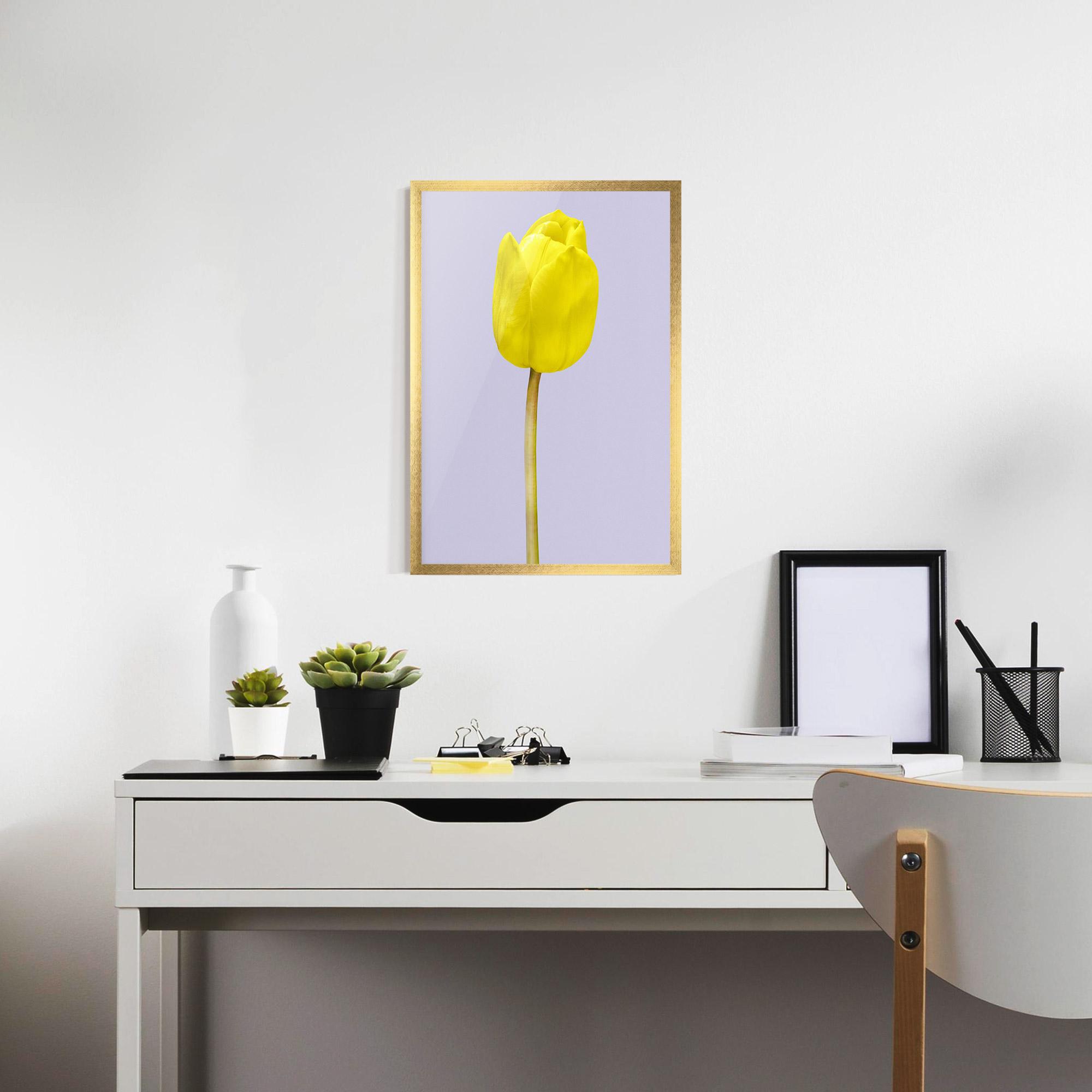 Keretezett Poszter One Yellow Tulip mockup 7