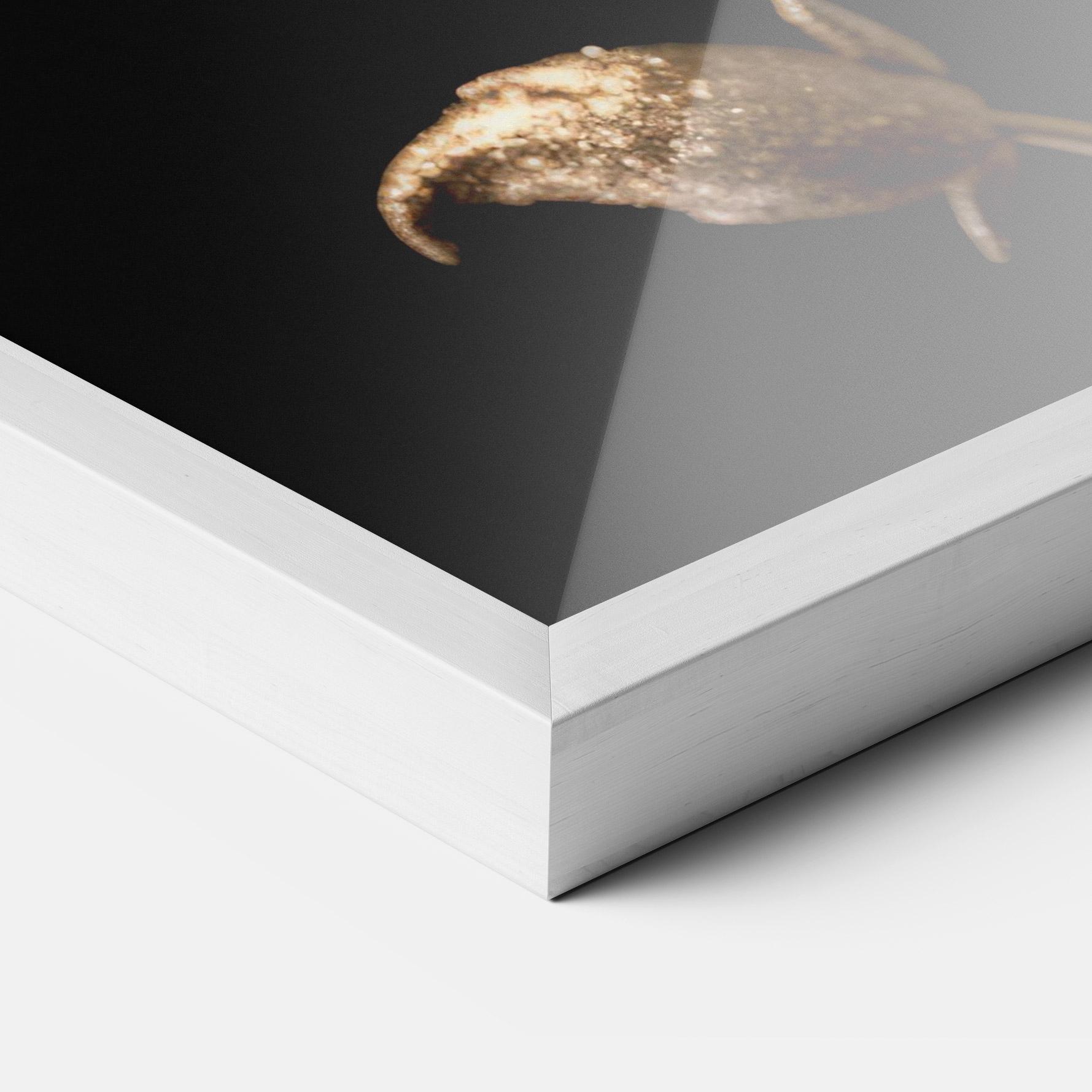 Keretezett Poszter Dark Red Poppy mockup 3