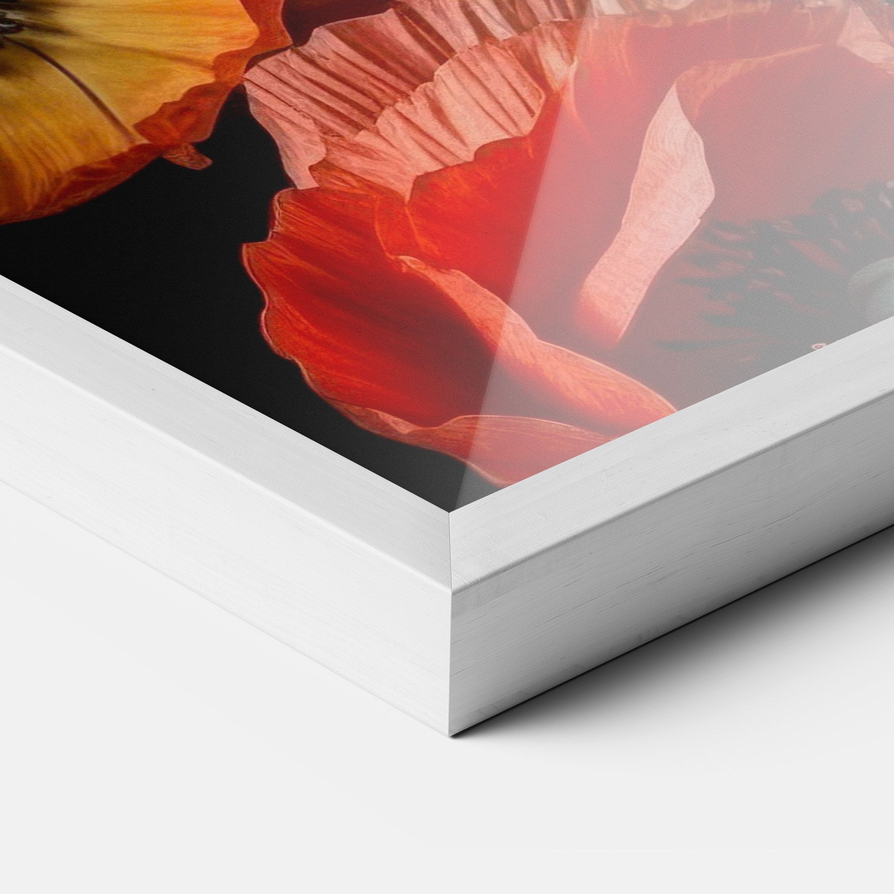Red Orange Poppy mockup 3