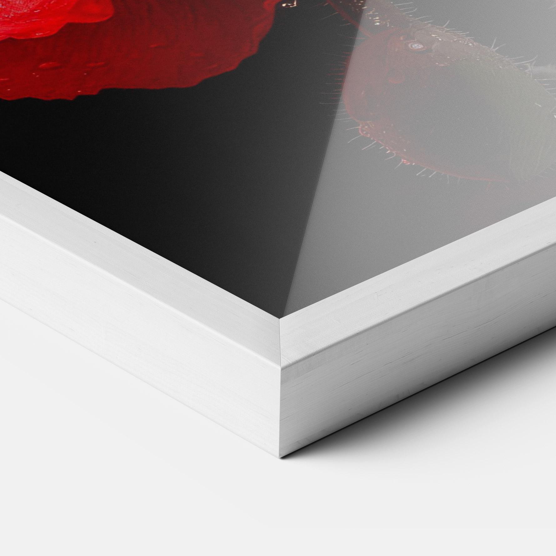 Keretezett Poszter Red Poppy mockup 3