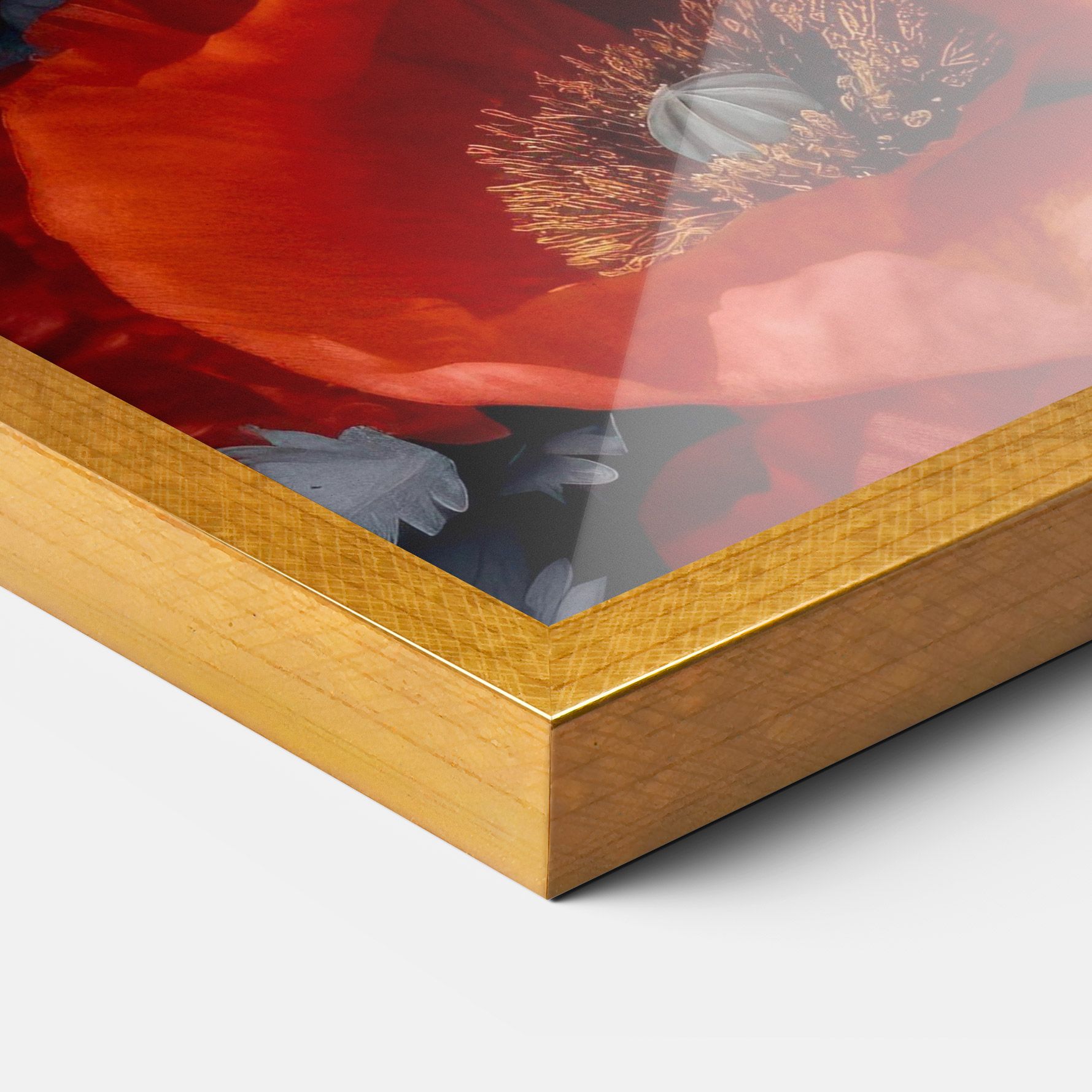 Black Red Poppies mockup 3