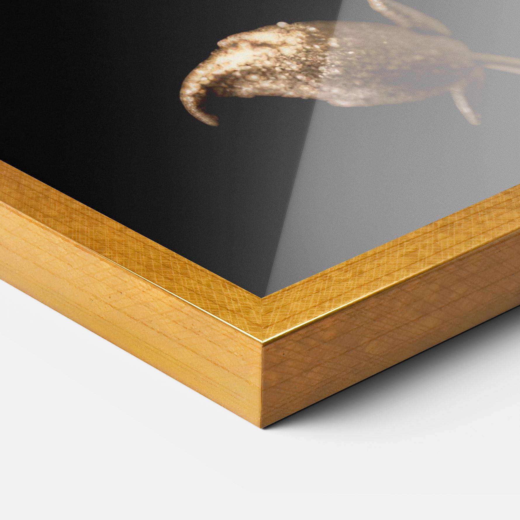 Keretezett Poszter Dark Red Poppy mockup 3