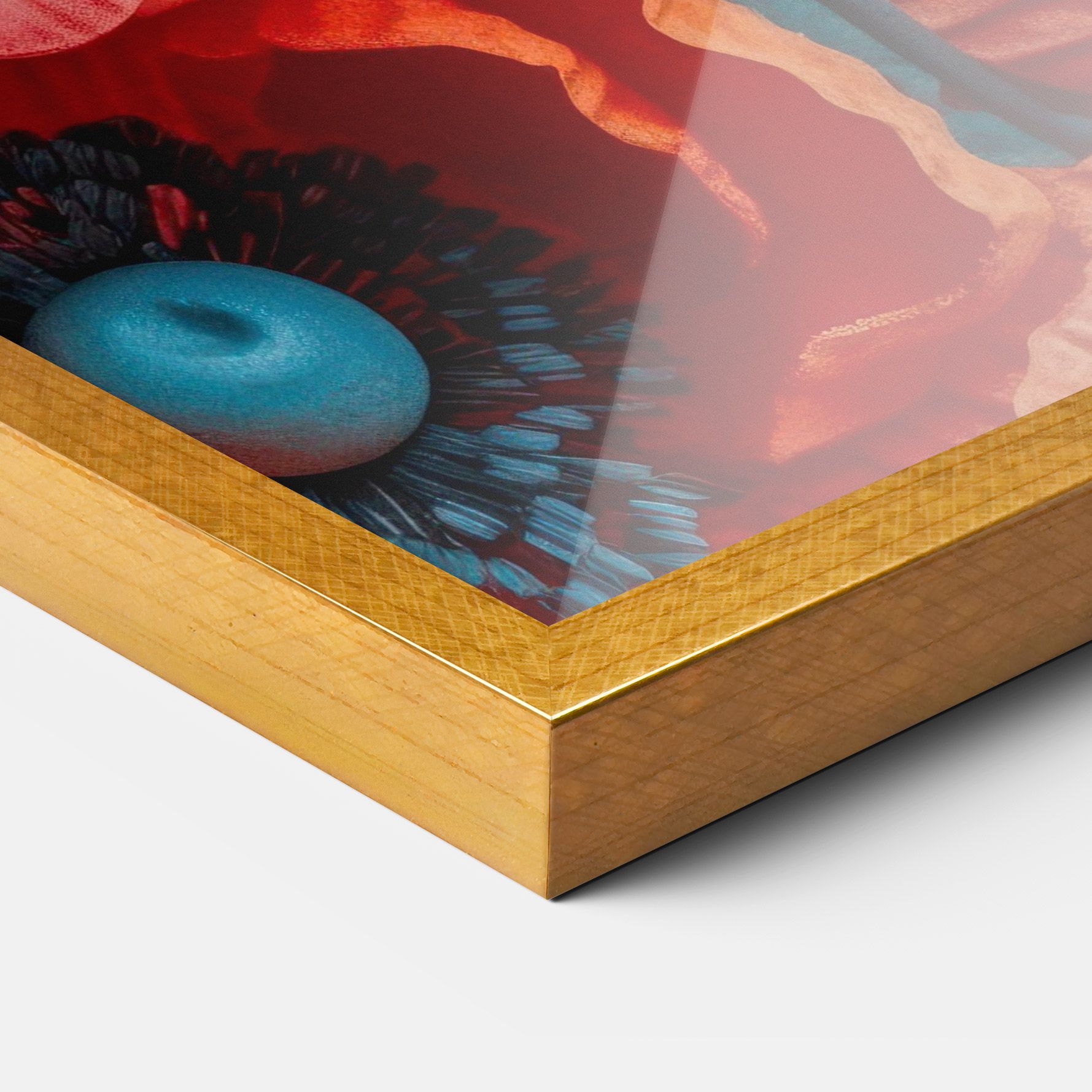 Poppy Close Up mockup 3