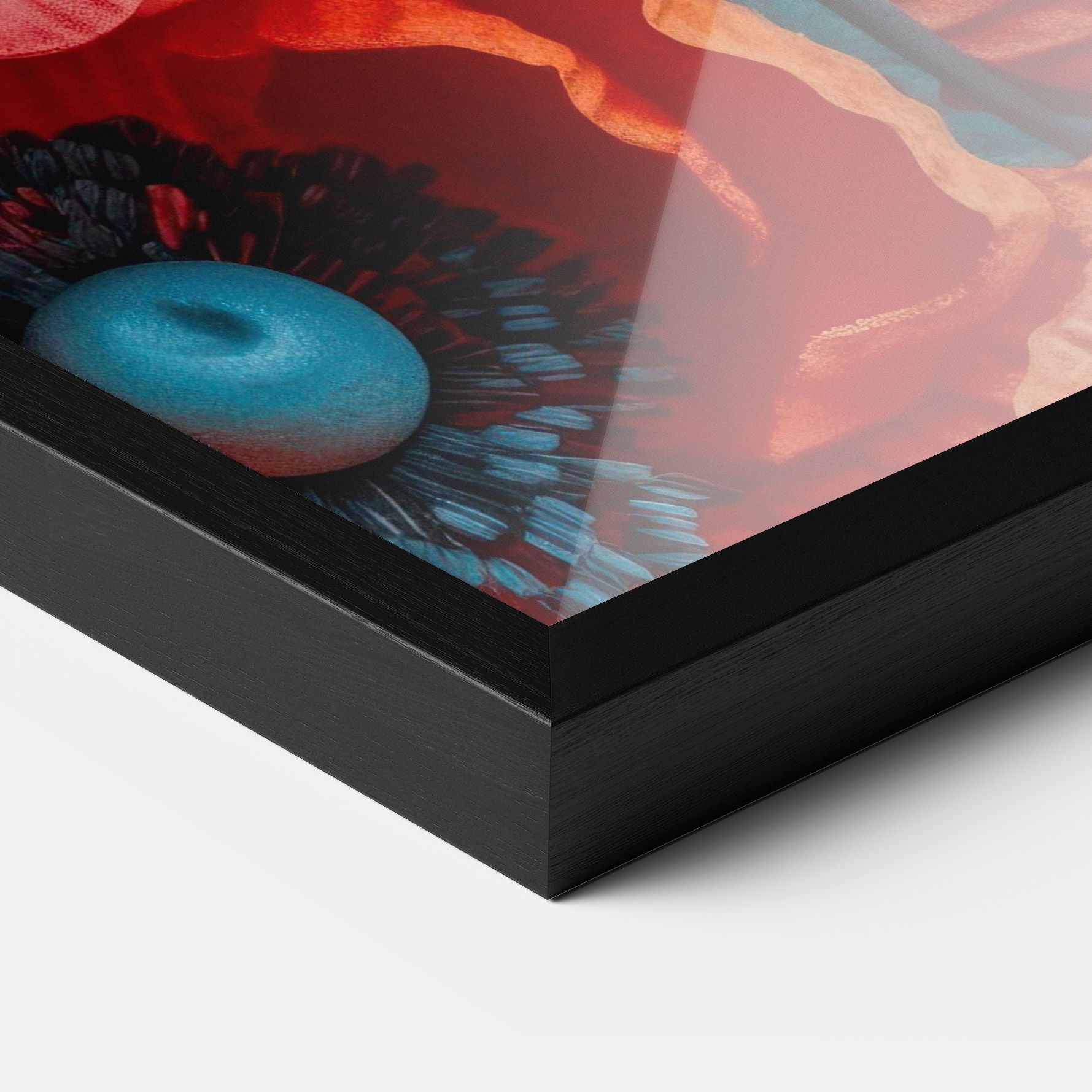 Poppy Close Up mockup 3