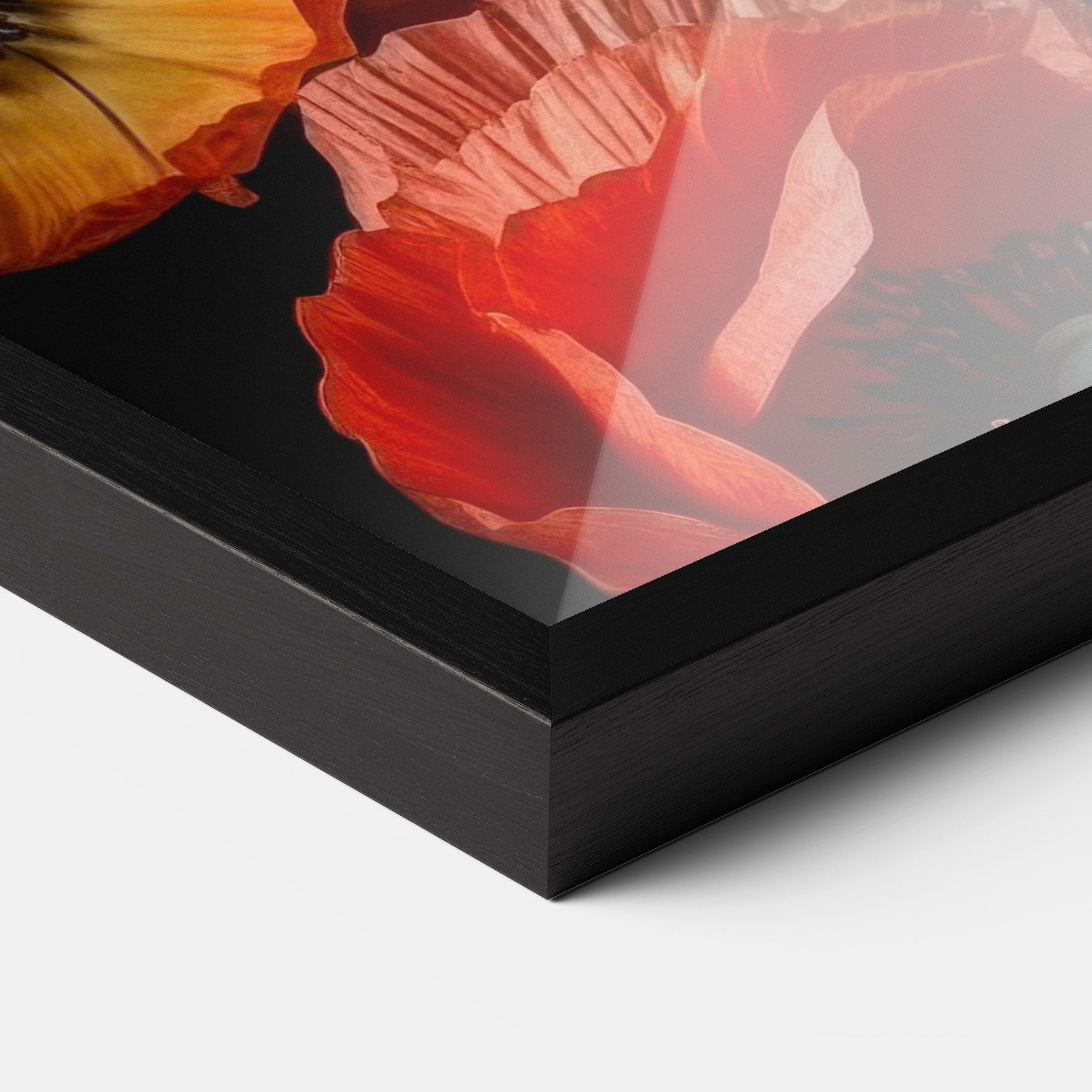 Red Orange Poppy mockup 3