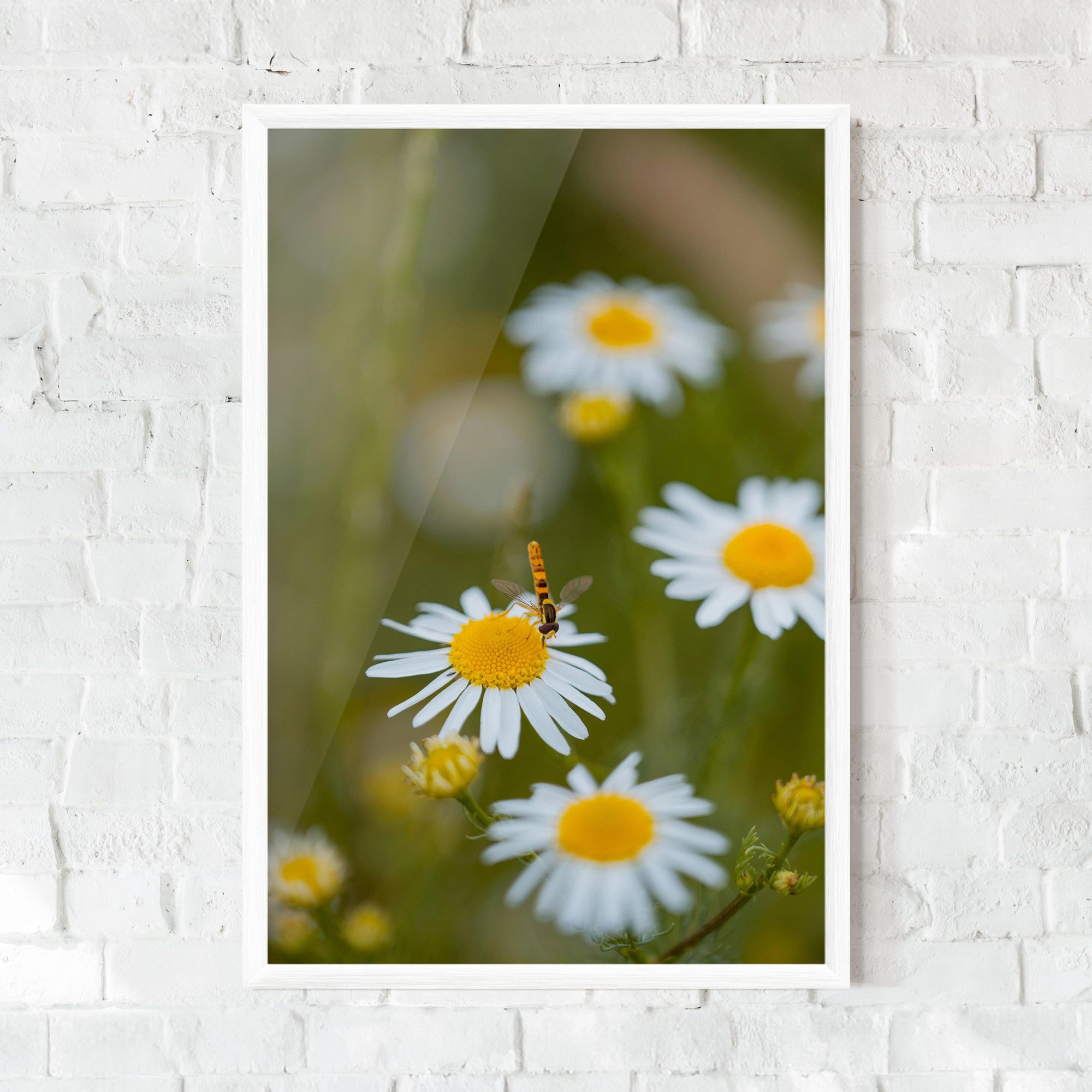 Bug On Small Daisy mockup 0