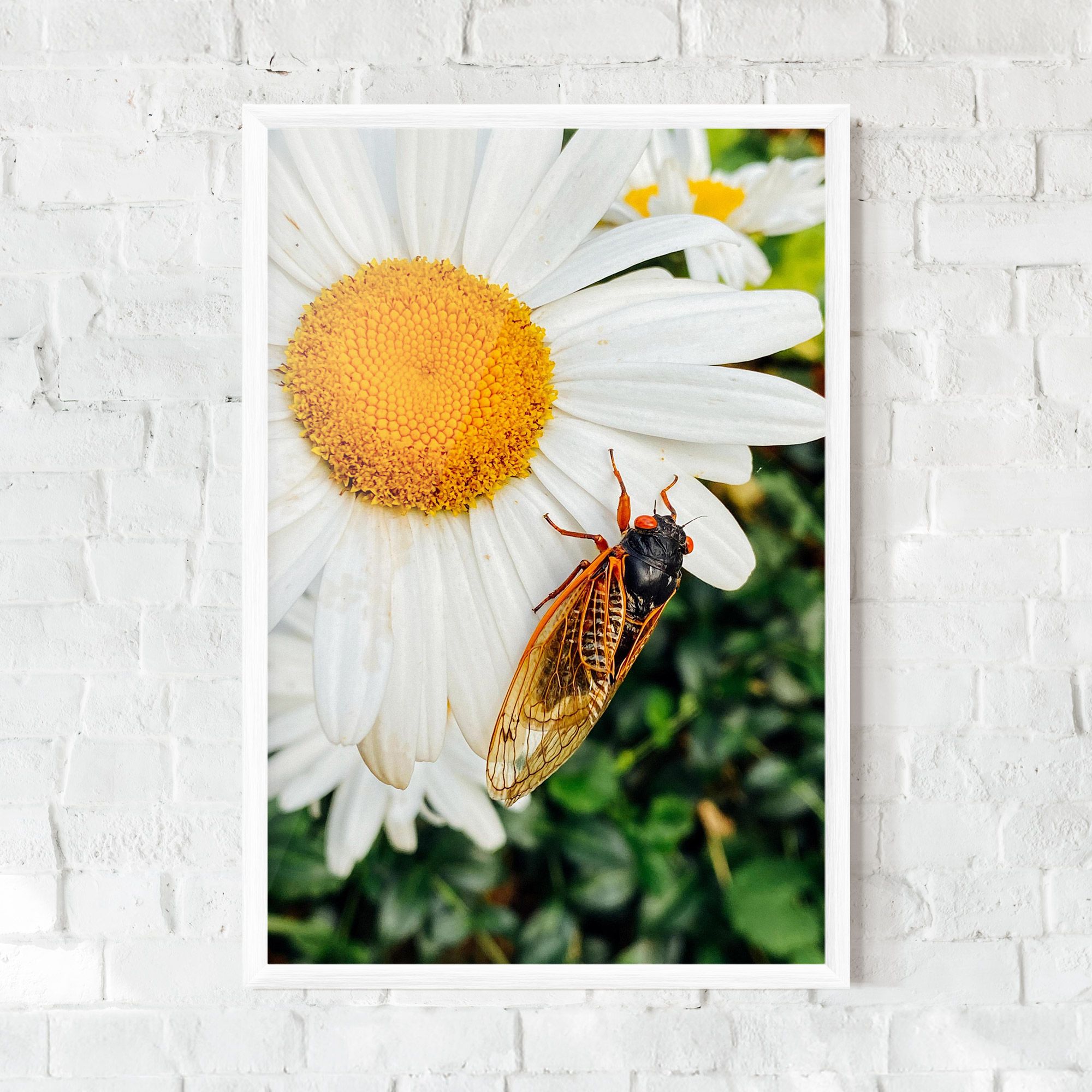 Bug On The Daisy mockup 0