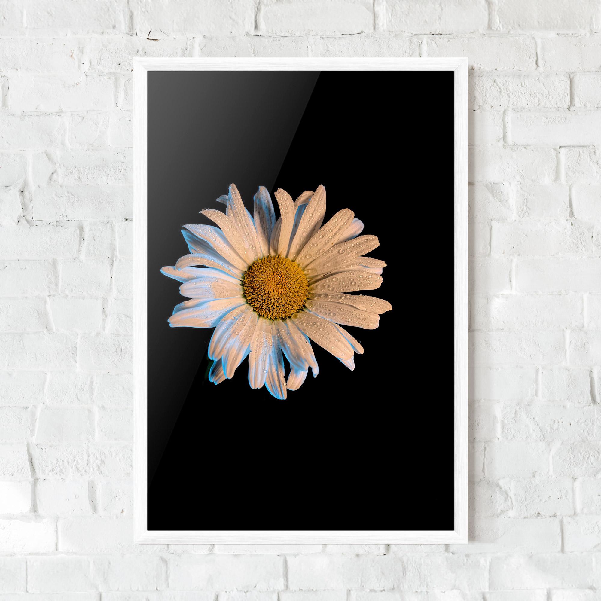Keretezett Poszter Daisy mockup 0
