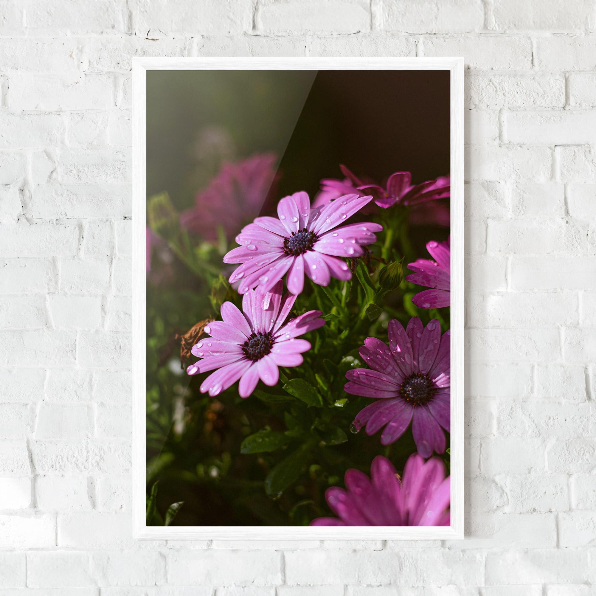 Keretezett Poszter Purple Daisy mockup 0