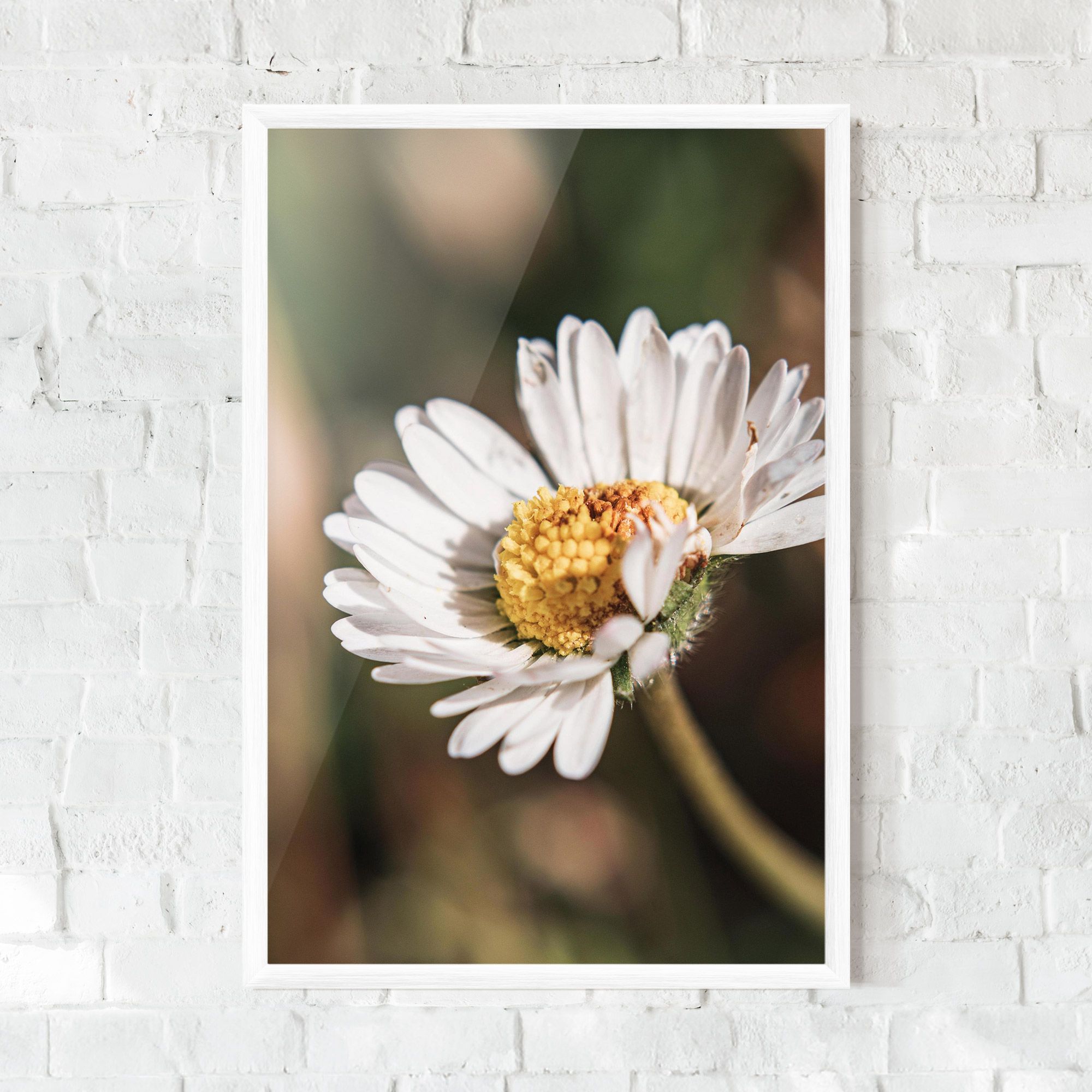 Yellow Pastel Daisy mockup 0