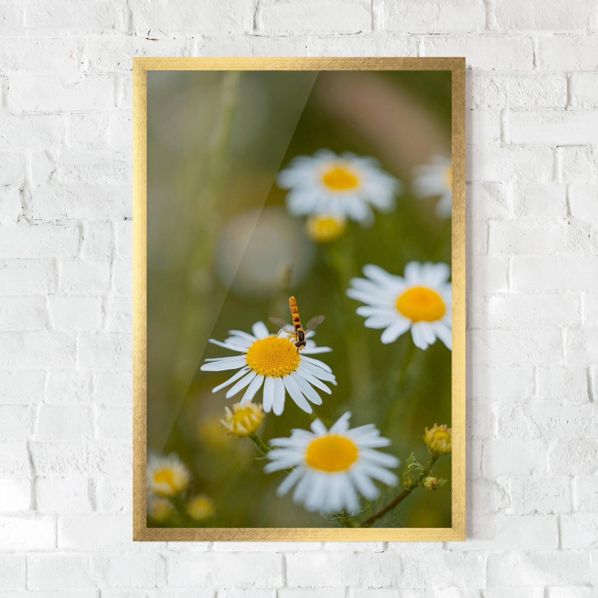 Keretezett Poszter Bug On Small Daisy mockup 0