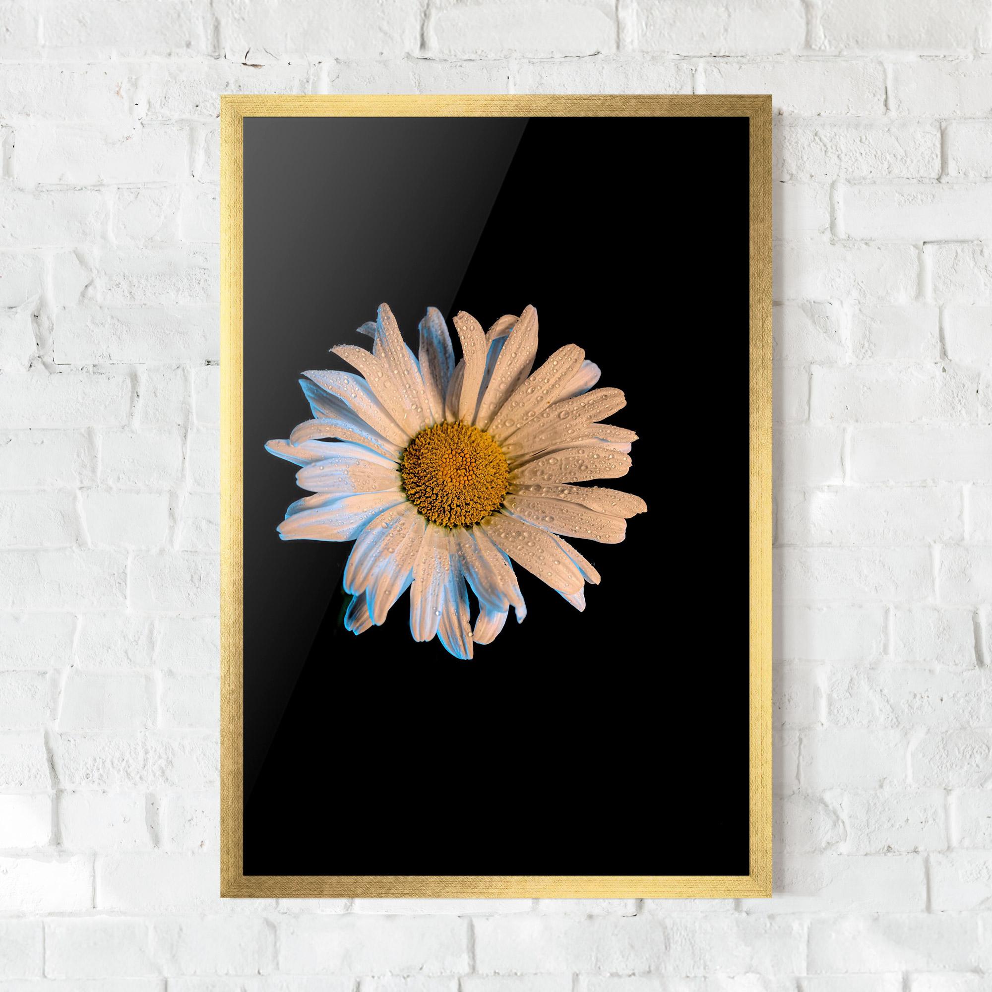 Keretezett Poszter Daisy mockup 0