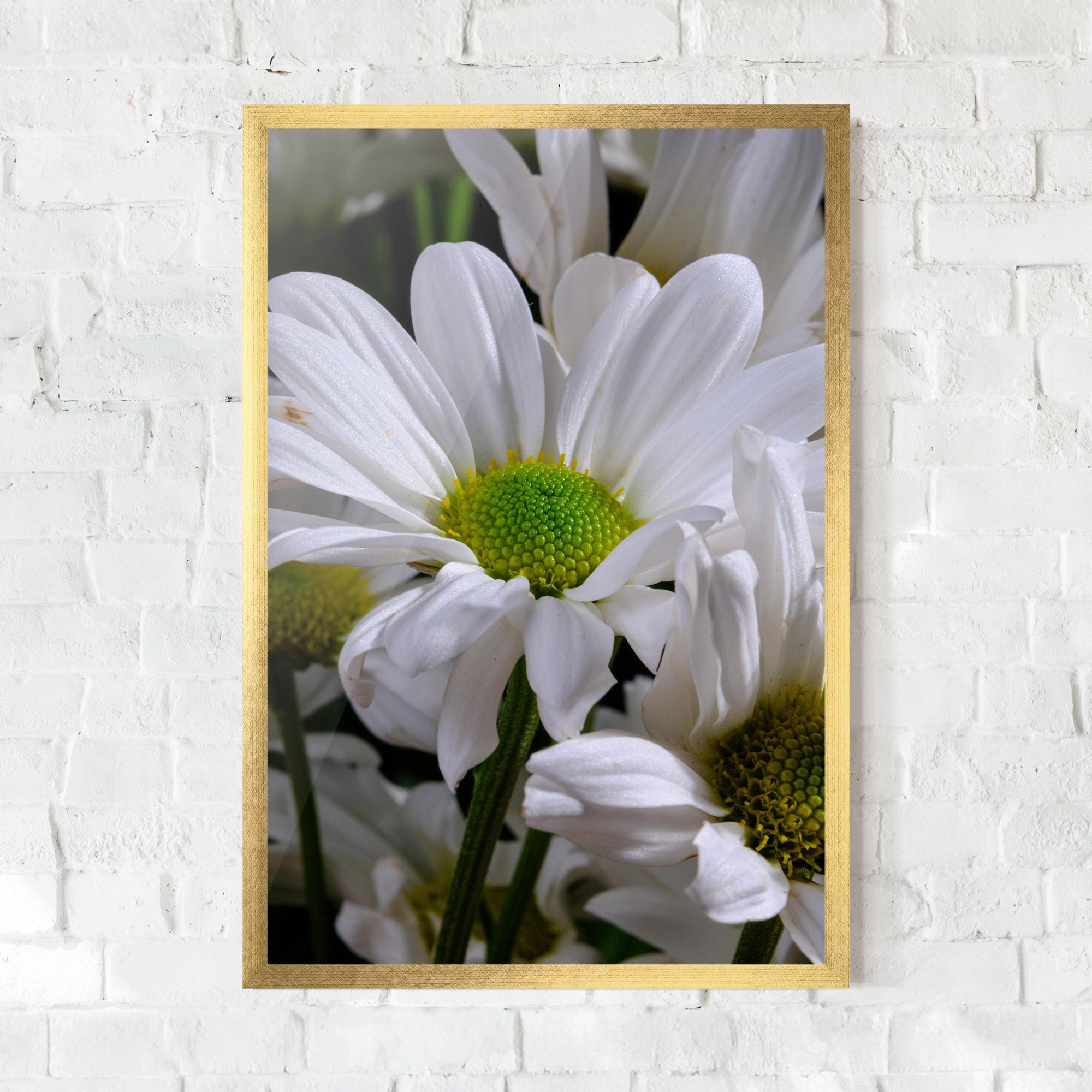 Green Middle Daisy View mockup 0
