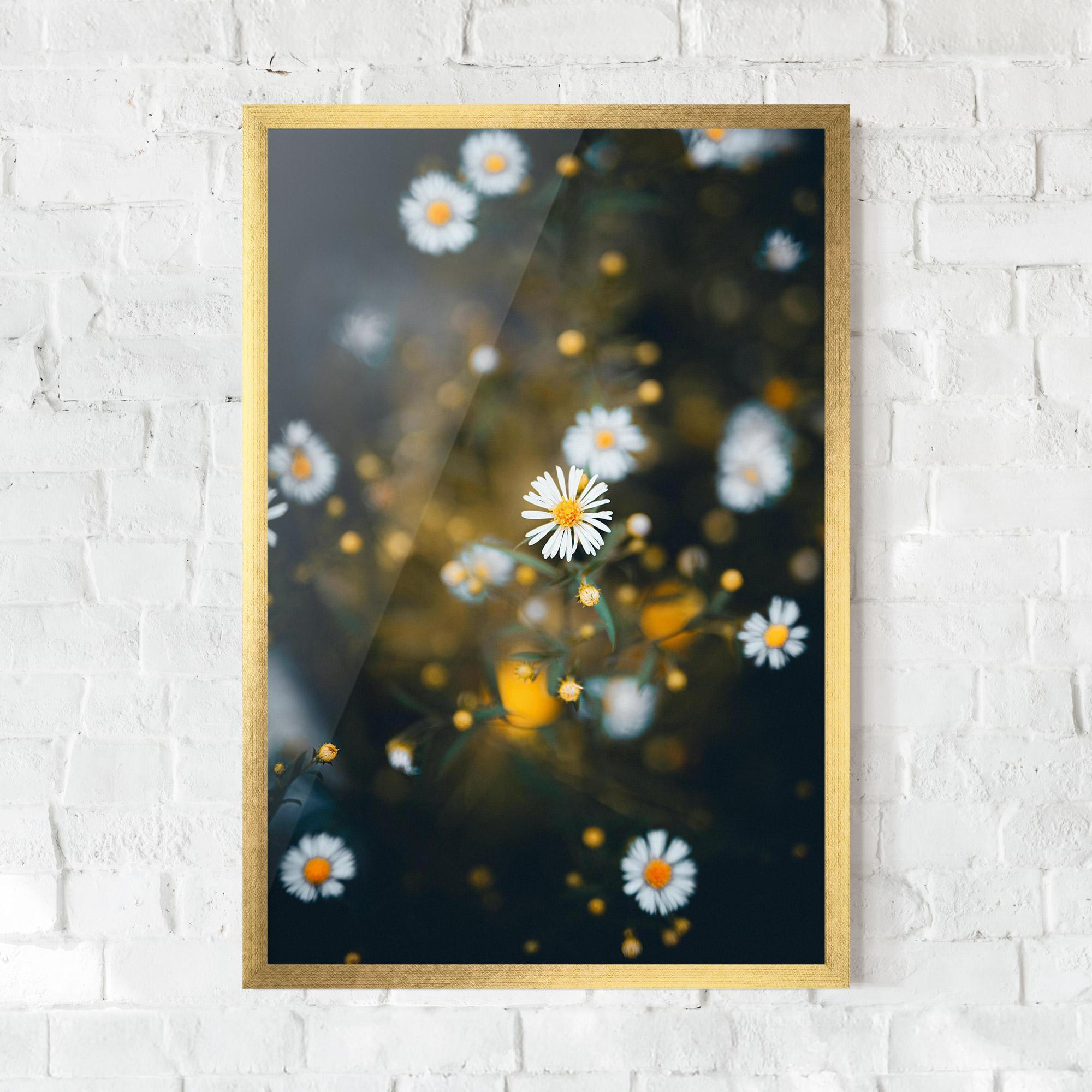 Keretezett Poszter Small Daisy View mockup 0