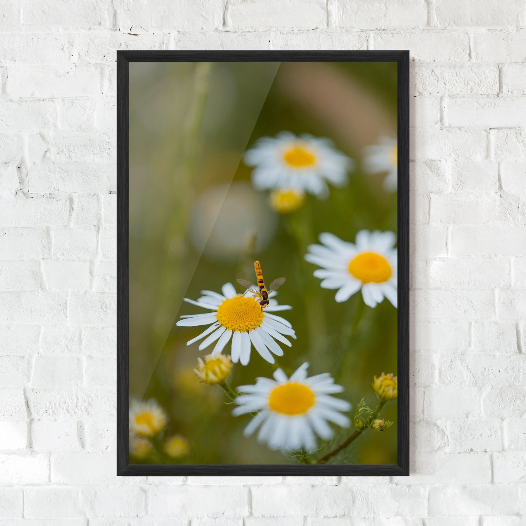 Bug On Small Daisy mockup 0