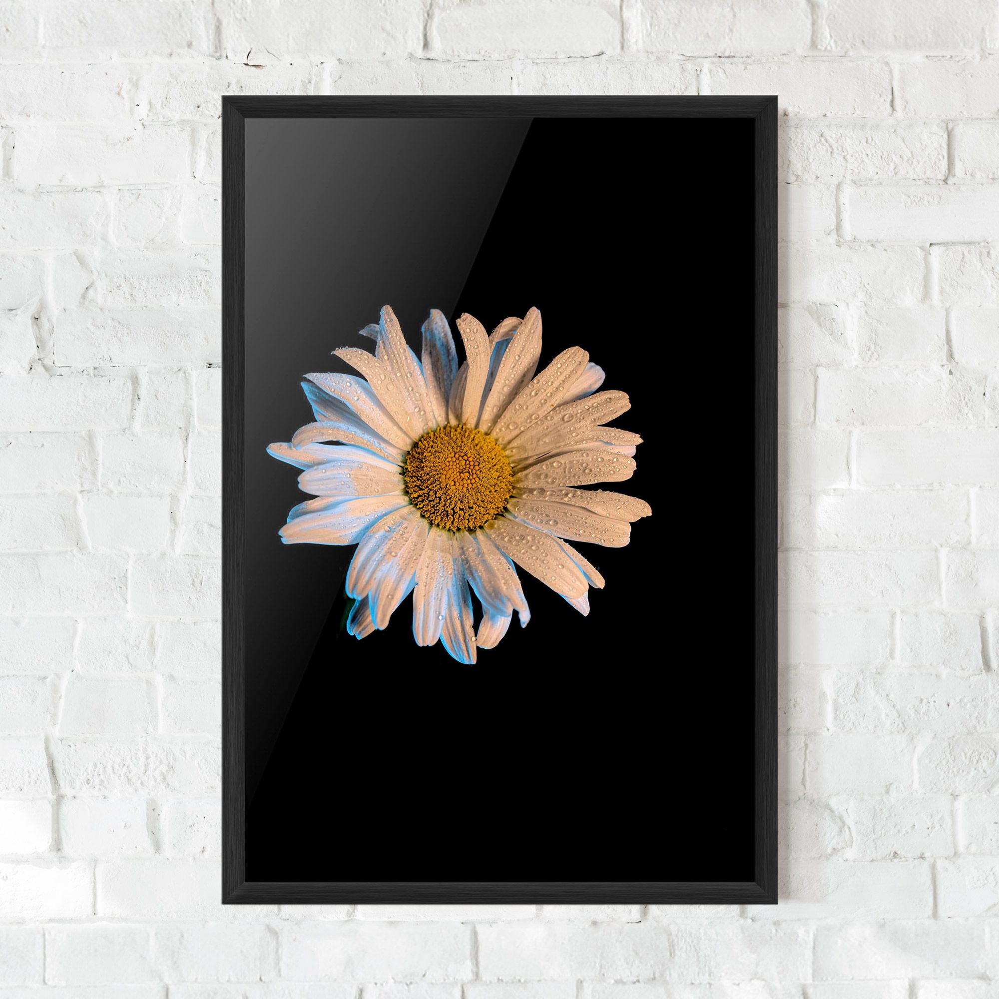 Daisy mockup 0