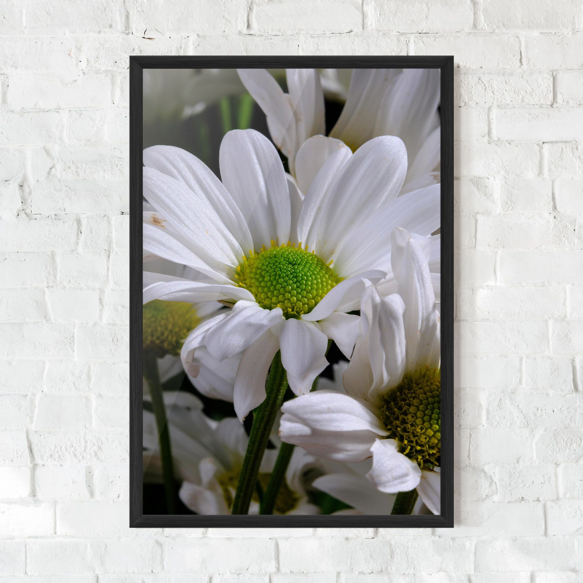 Green Middle Daisy View mockup 0