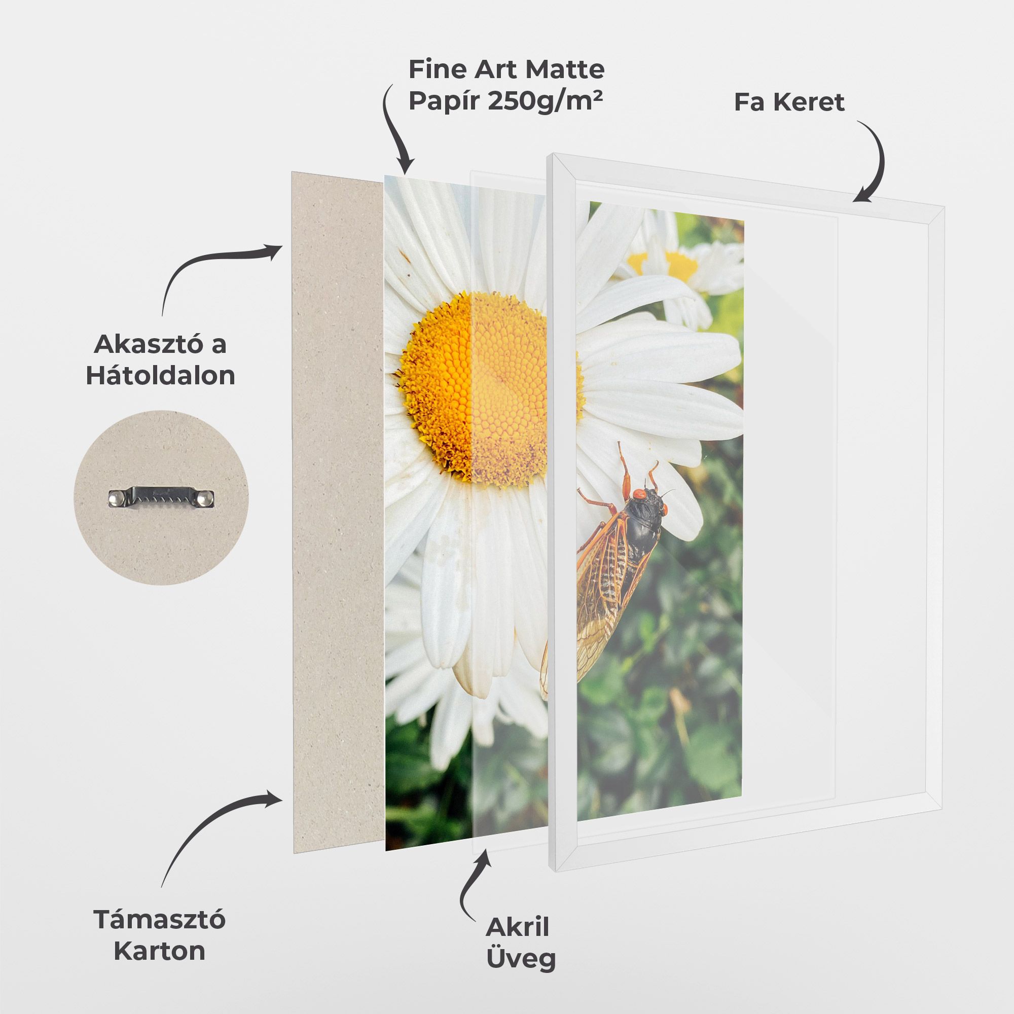 Bug On The Daisy mockup 1