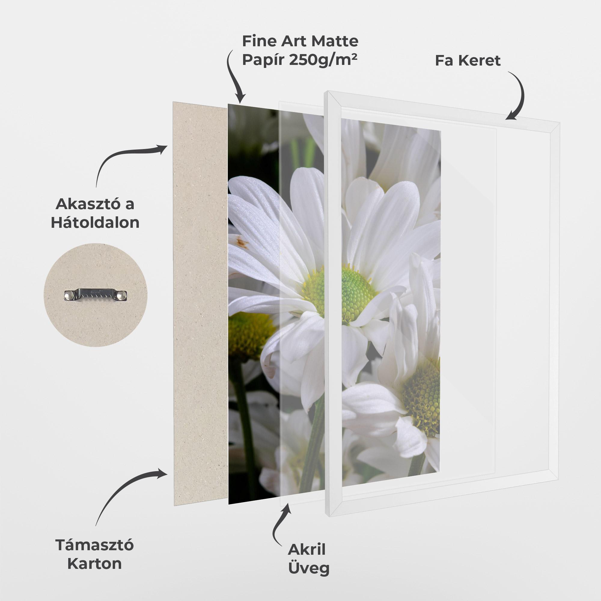 Keretezett Poszter Green Middle Daisy View mockup 1