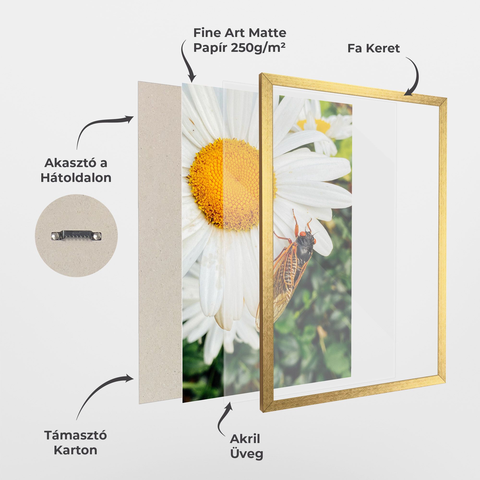 Bug On The Daisy mockup 1