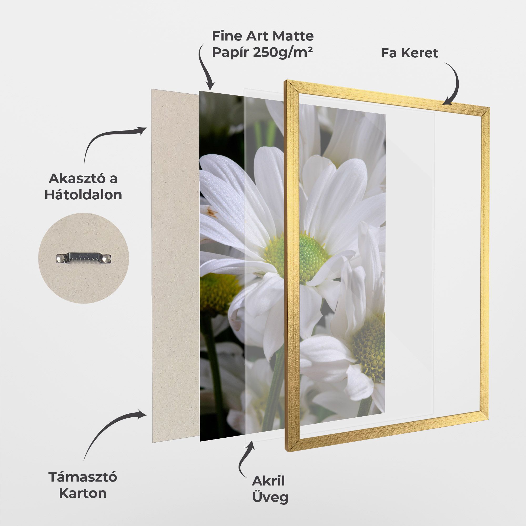 Green Middle Daisy View mockup 1