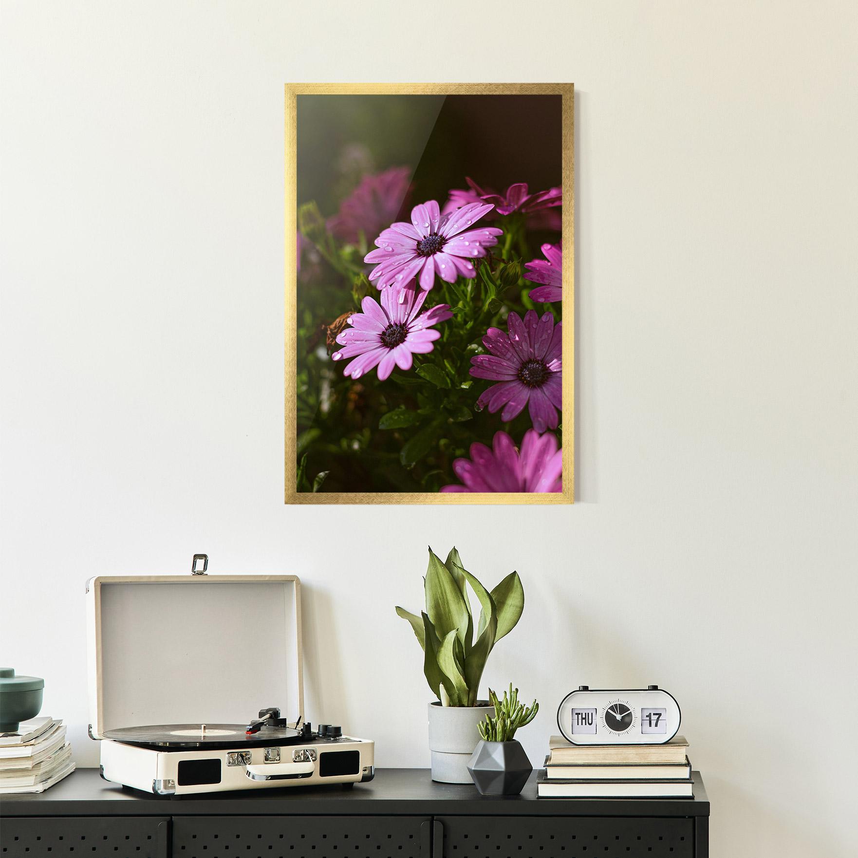 Keretezett Poszter Purple Daisy mockup 2