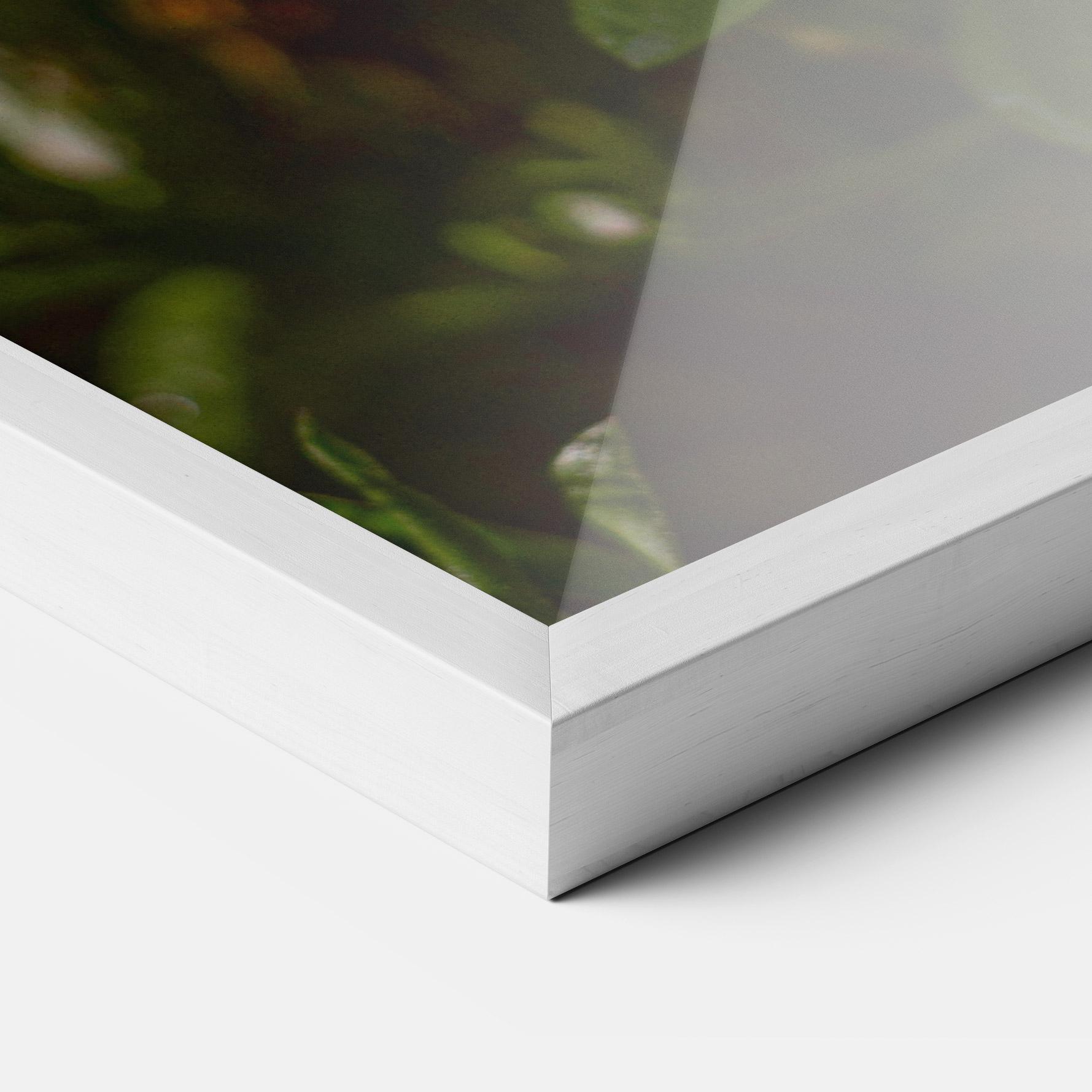 Keretezett Poszter Purple Daisy mockup 3