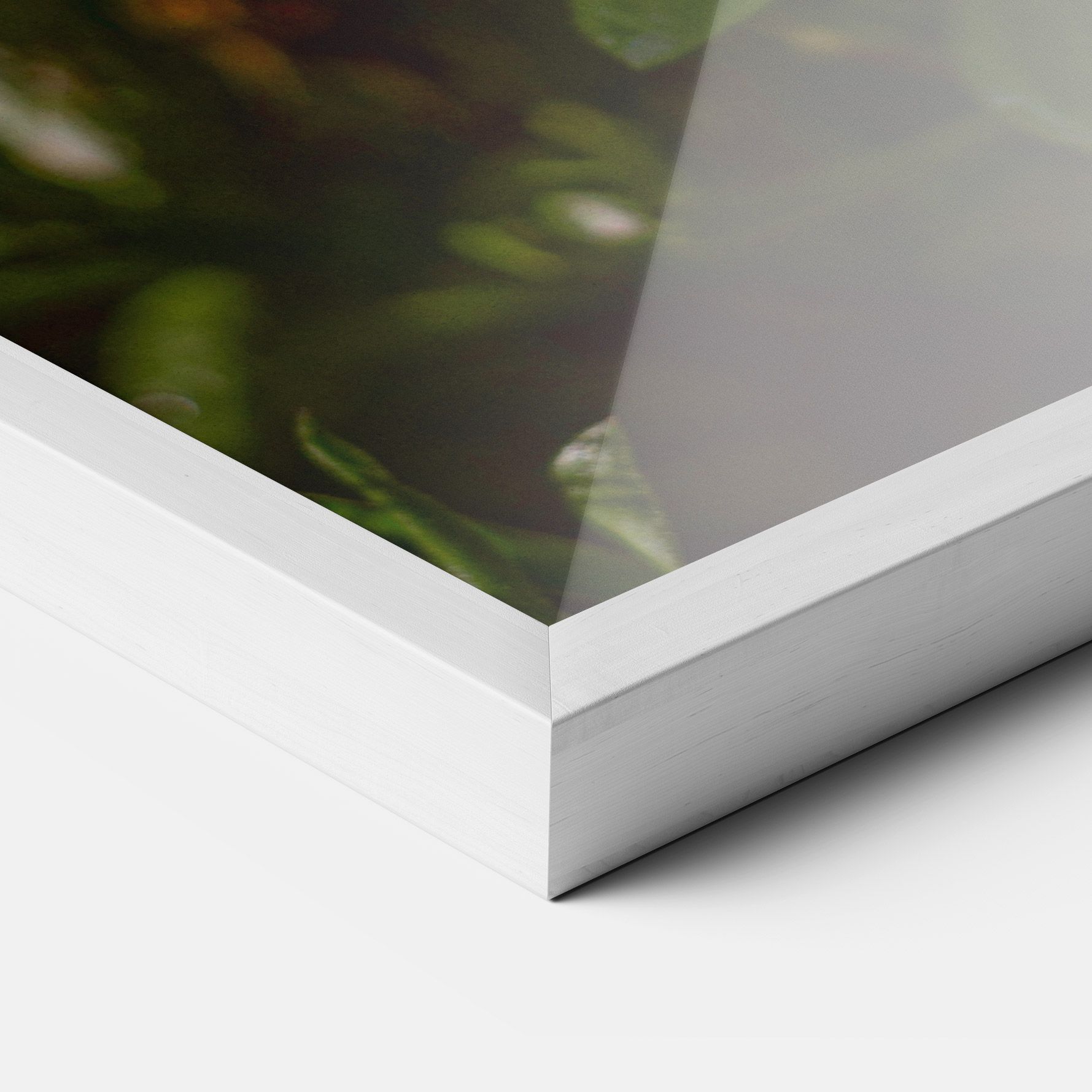 Purple Daisy mockup 3