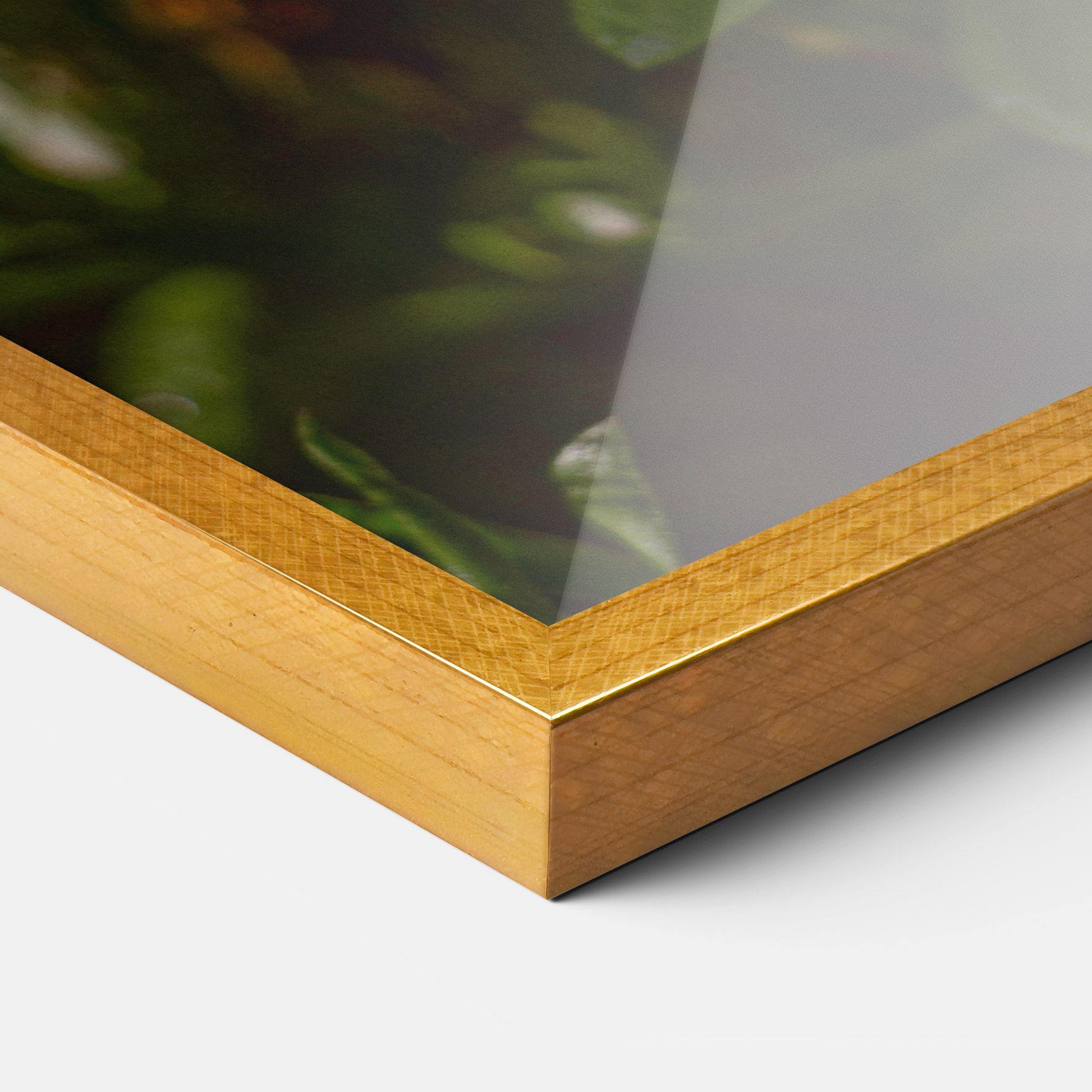 Purple Daisy mockup 3