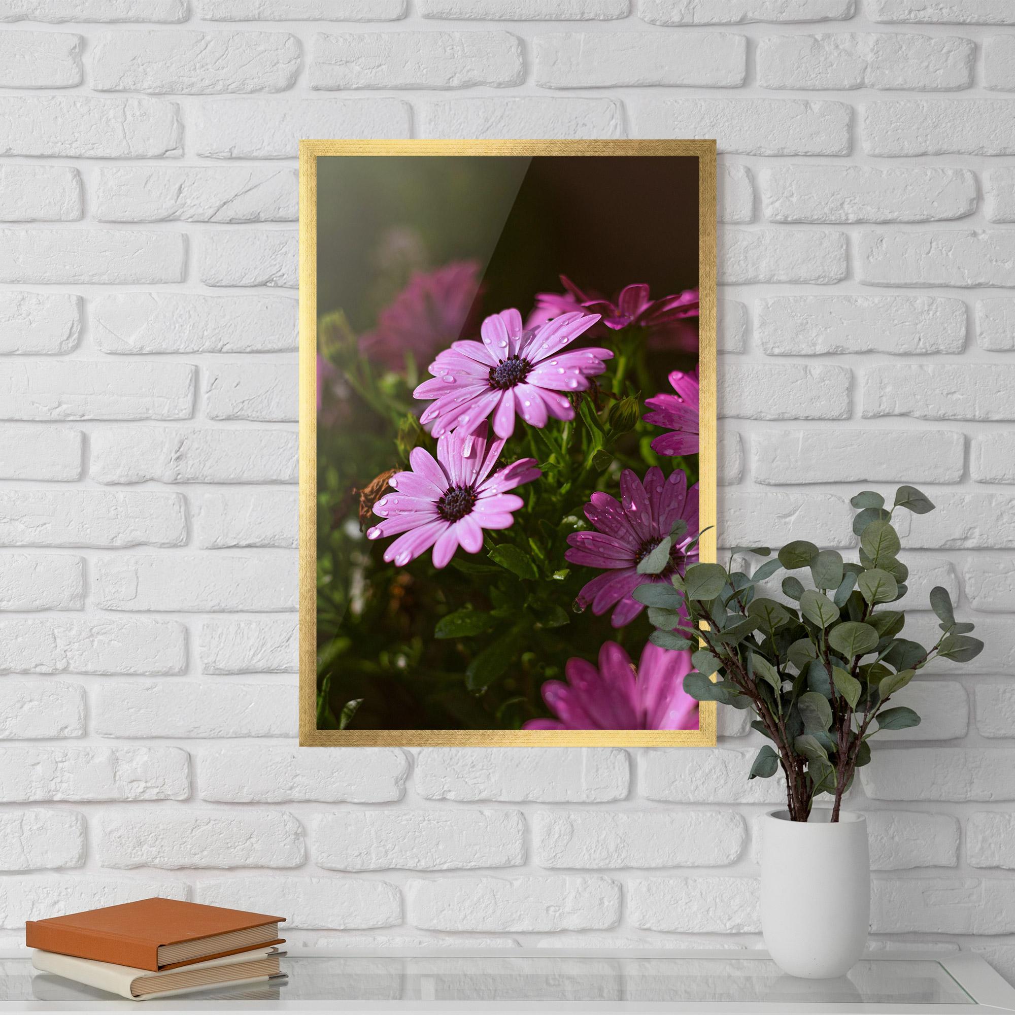 Keretezett Poszter Purple Daisy mockup 5