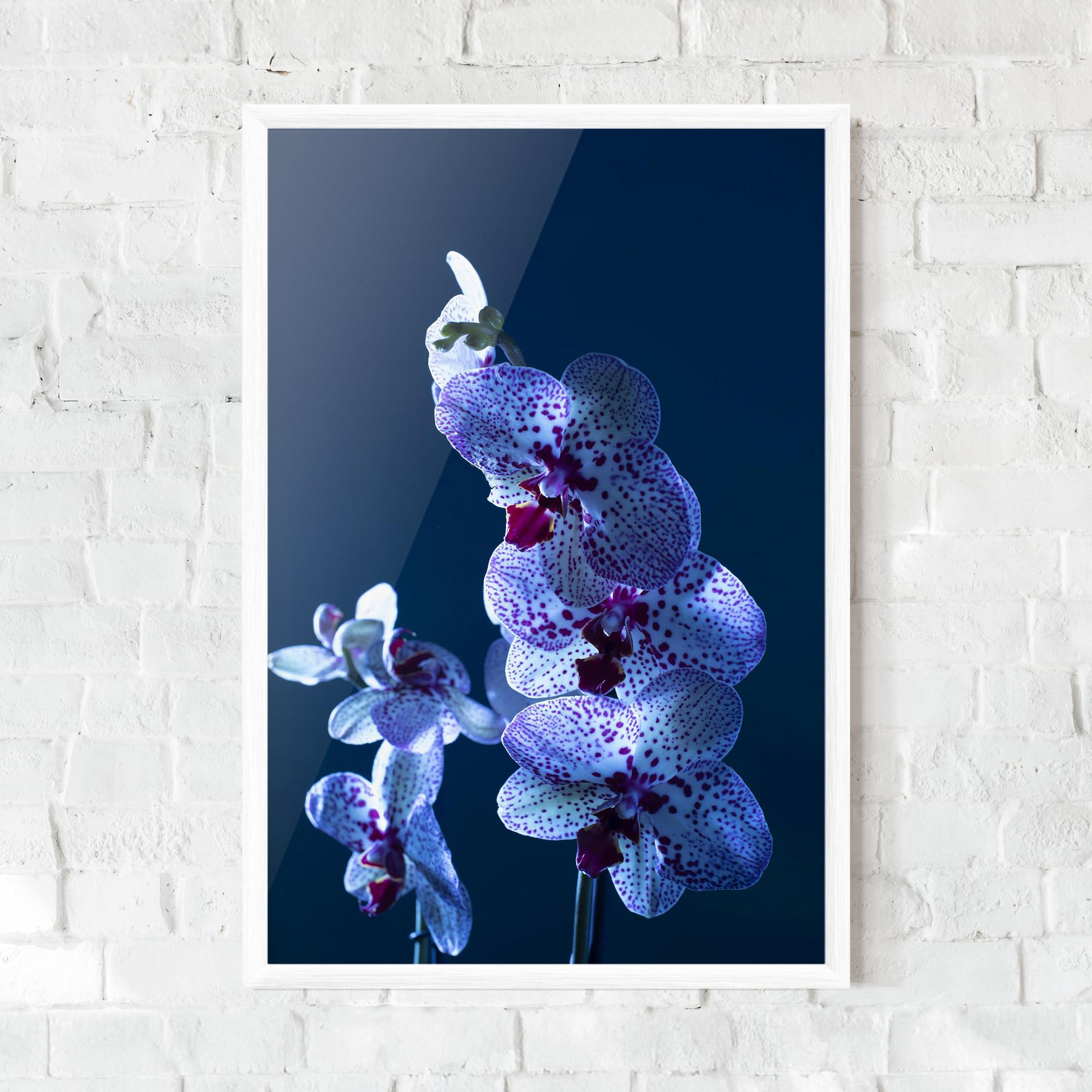 Keretezett Poszter Blue Light Orchid mockup 0
