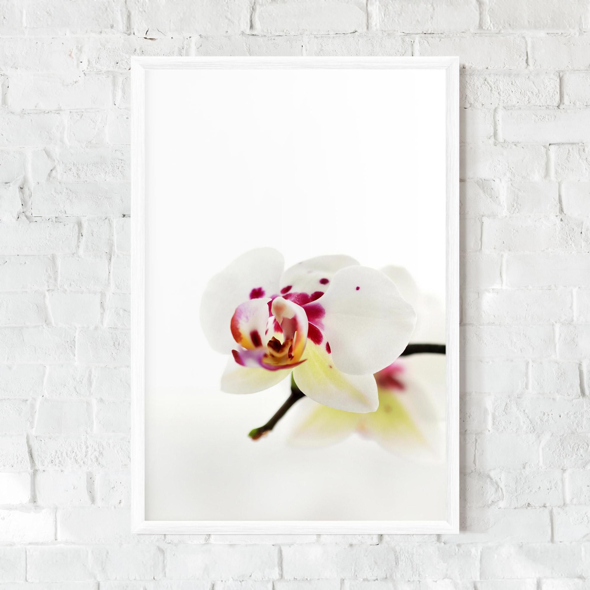 Keretezett Poszter Clean White Orchid mockup 0