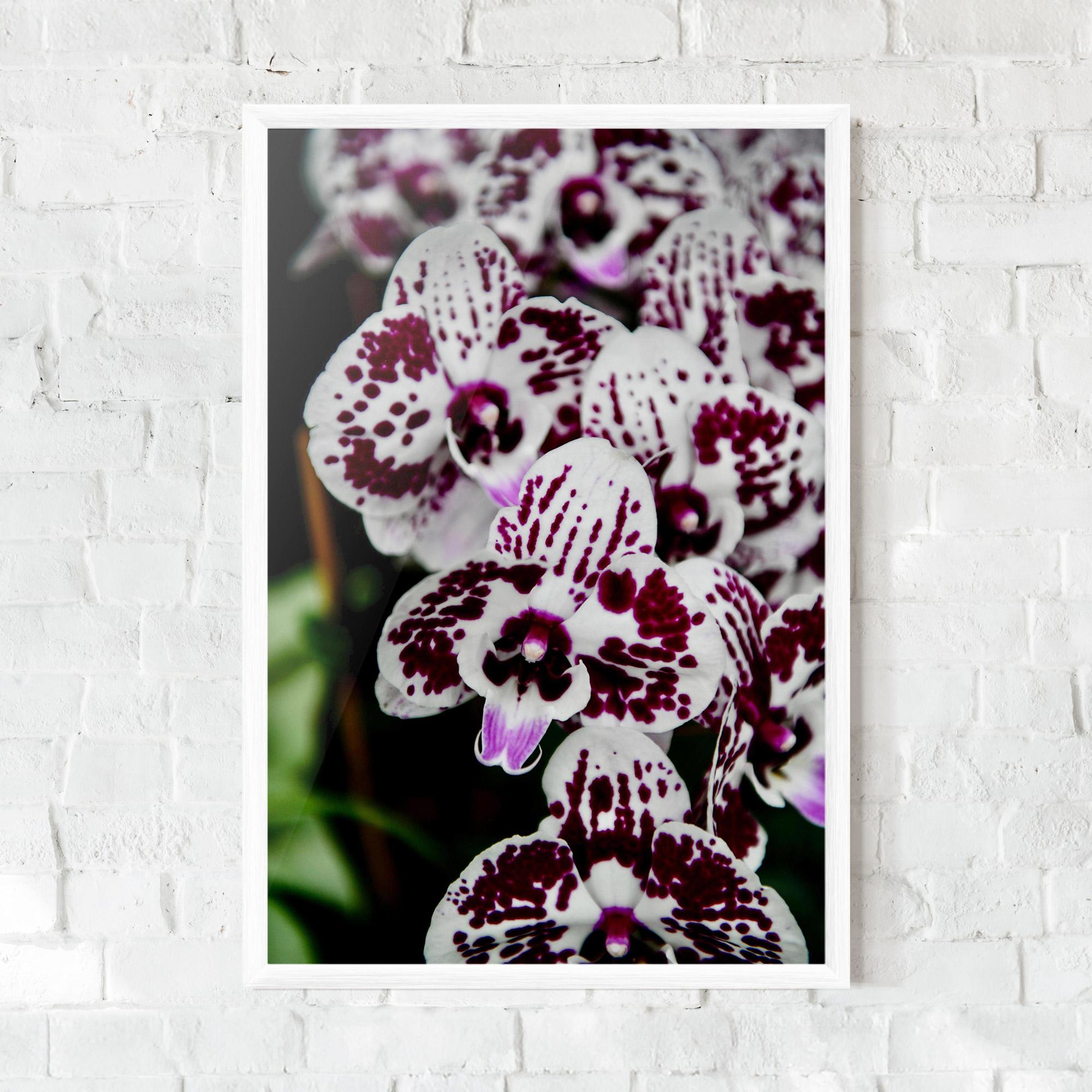 Keretezett Poszter Dark Purple Orchids mockup 0